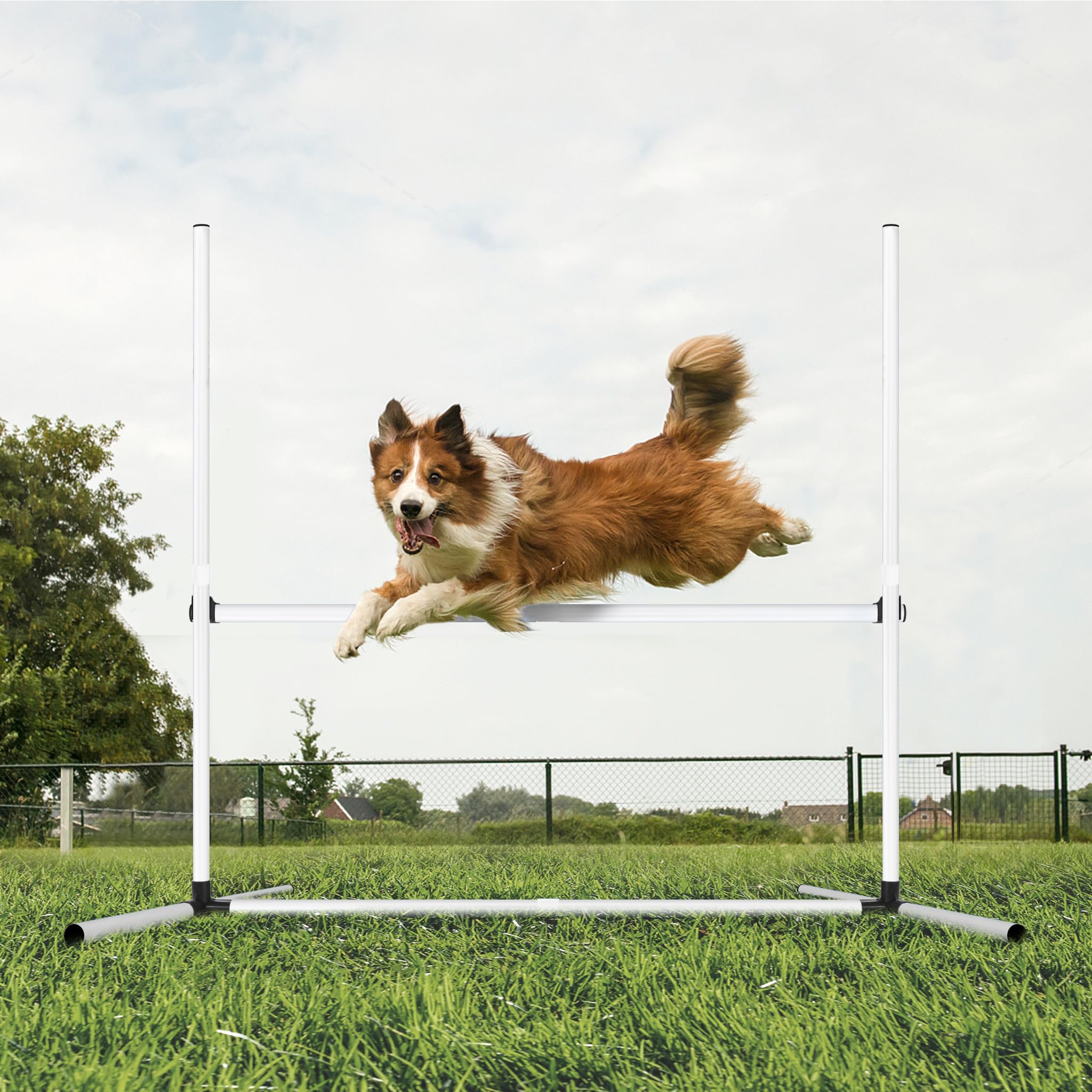 FIVMEN 4X Agility Set Hunde Slalomstangen Hund Training Set Höhenverstellbar Kunststoff Hürdenset Hobby Horse Hindernisse mit Transporttasche für Hundetraining Hundesport, Weiß