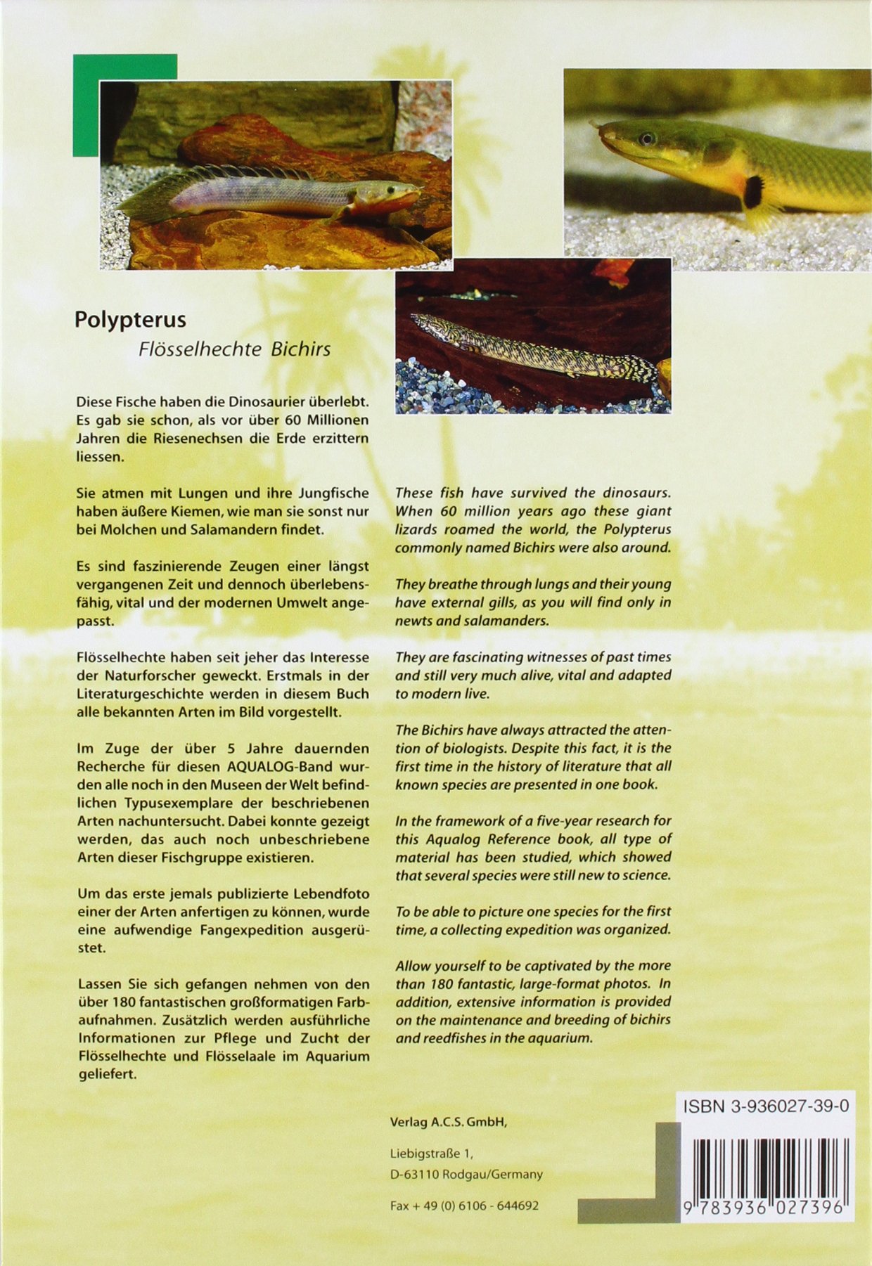 Polypterus: Flösselhechte /Bichirs. Dt./Engl. (Aqualog Bildlexikon)