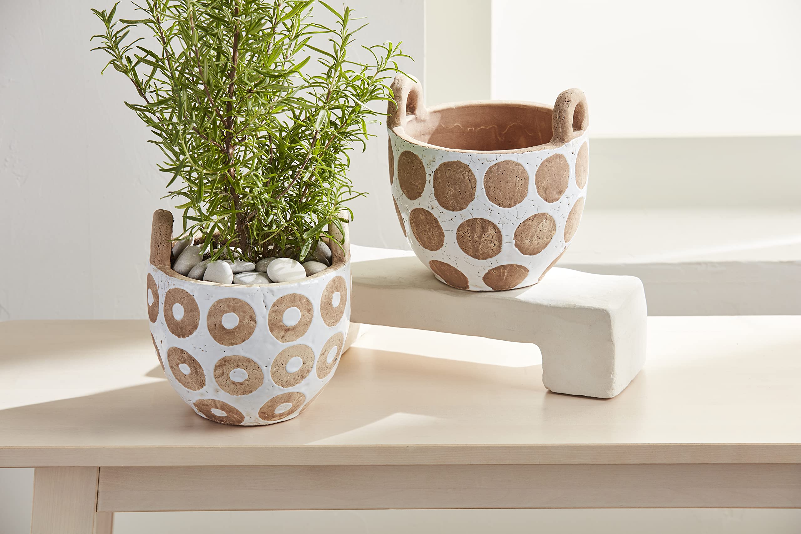 D.I.P pot 鉢 (A) Amazon.com : Mud Pie Circle White Terracotta Pot, Board 13 3
