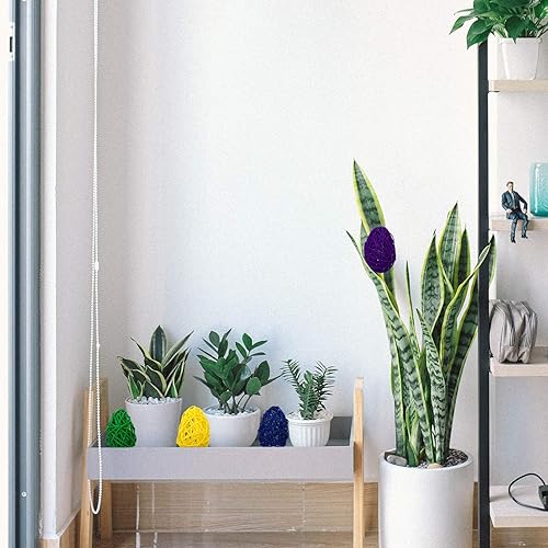 Miniatura 2 de SEWACC 5 bolas de mimbre de ratán bolas decorativas para cuenco centro de mesa forma de huevo de Pascua bola de ratán decorativa orbes de rama