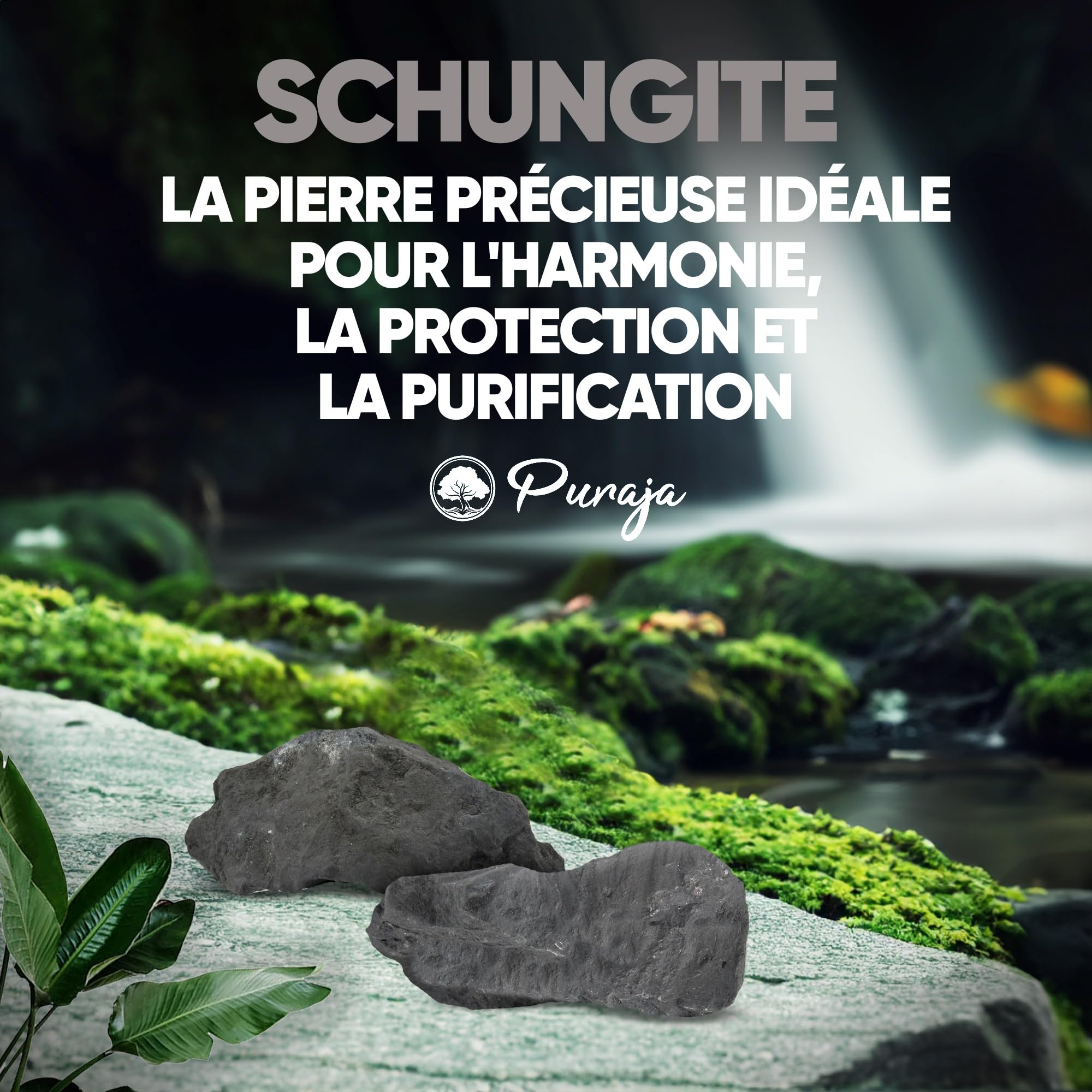PURAJA Set de Pierres Précieuses: Shungite | Naturelles de Première Qualité | Pour Utilisation Polyvalente à Eau, Guérison et Chakra