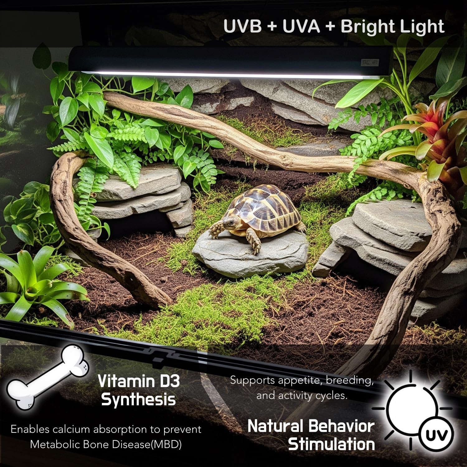 Upgraded T5 UVB Reptile Light, 10.0 UVB 8W German Made Fluorescent Lamp and Fixture Kit, for Desert-Dwelling Reptiles, Bearded Dragon,Tortoise, Snake, Strip Linear UVB Lamp Bulb,12 Inch - image 3