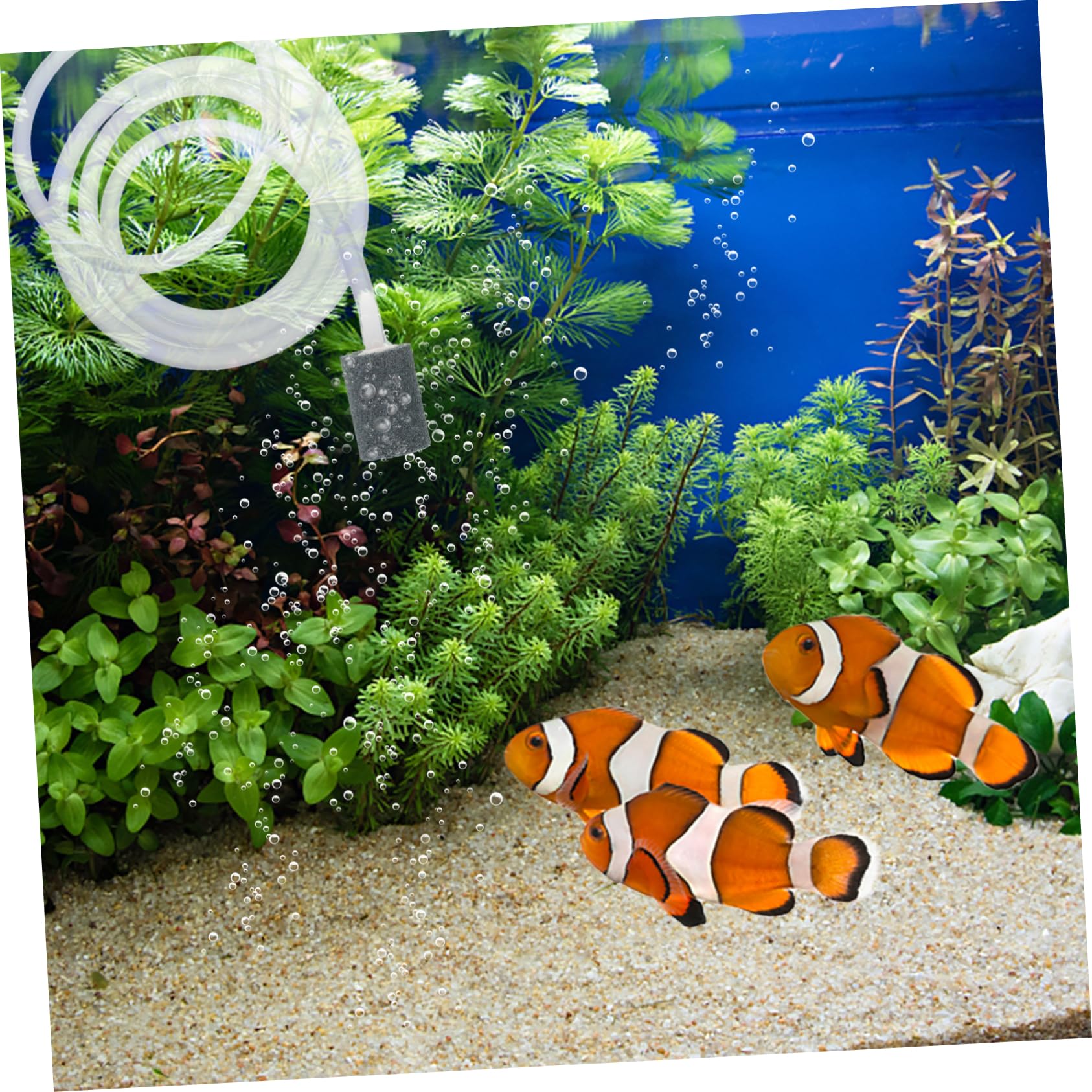 FRCOLOR 3 Uds Bomba De Oxígeno USB Aireador De Tanque Bomba De Tanque De Peces De Acuario Bomba De Gas Oxigenador De Tanque Aireador De Tanque De Peces Tanque De Oxígeno USB Bomba De