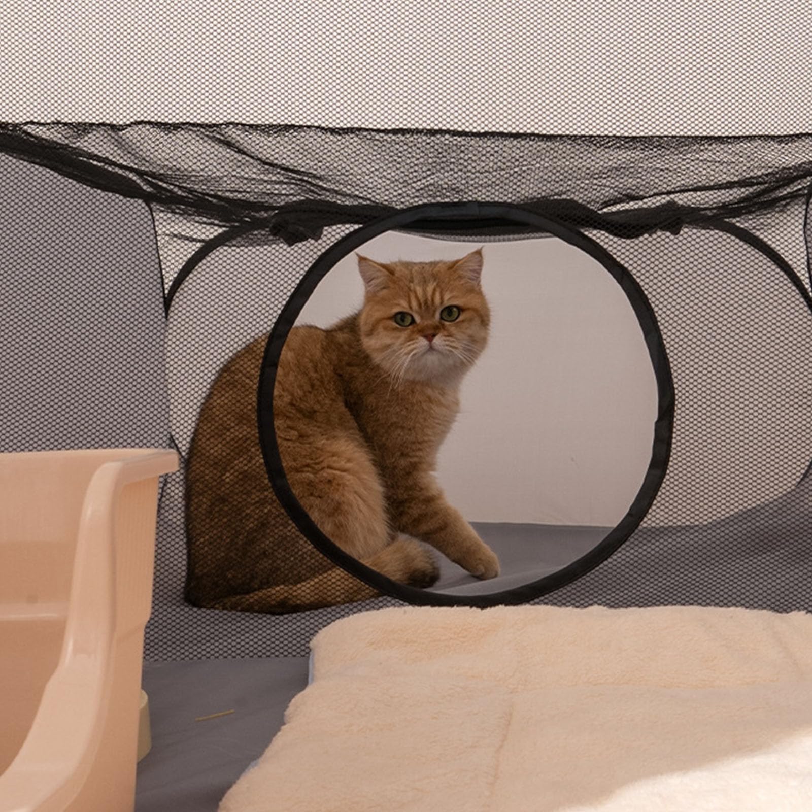 Outdoor Katzentunnel, Laufstall, Sonnenschutz, natürliche Beleuchtung für gesundes, erweiterbares Spieltunnelzelt, Hunde und Katzentransportboxen