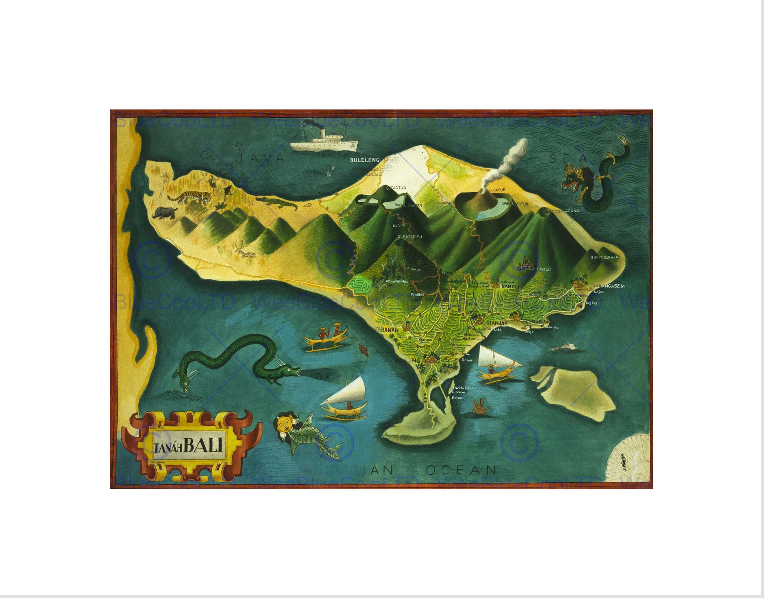 Wee Blue Coo Paintings Map Bali Indonesia Volcano Animal Cool Wall Art Print