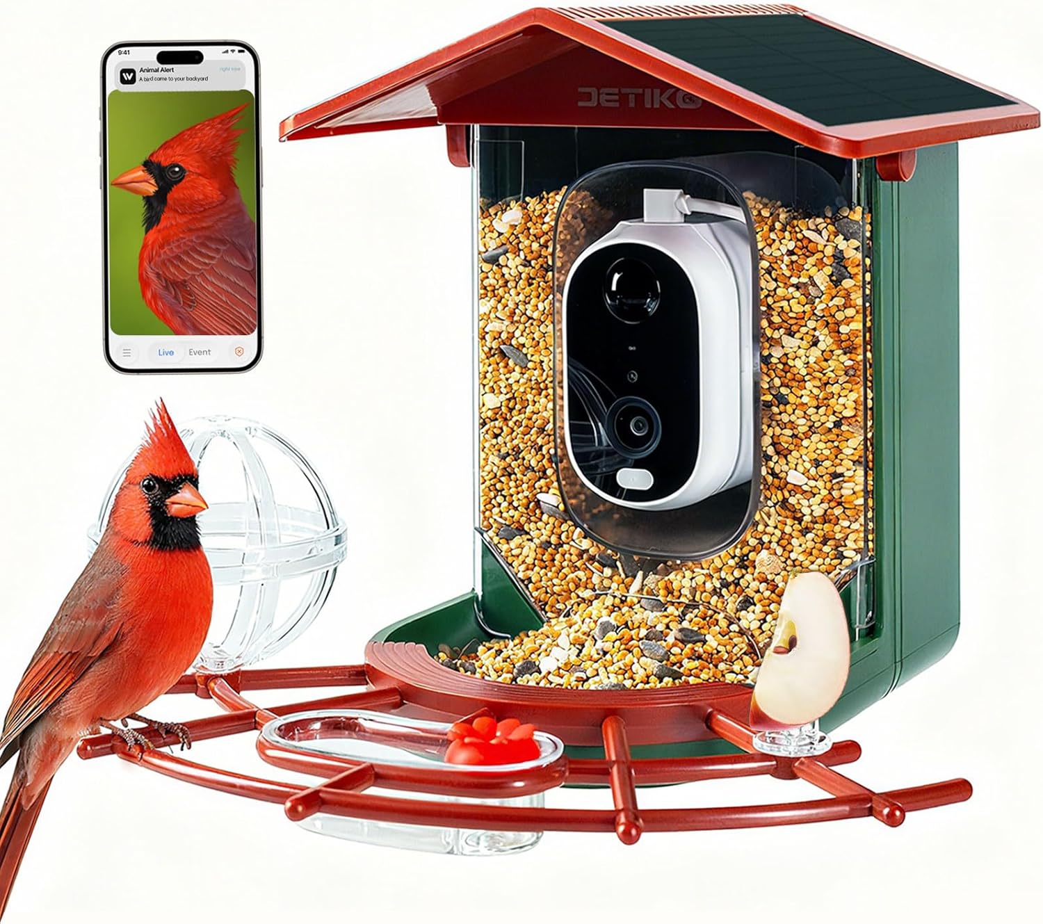 Fowl Feeder with Digital camera, 2K HD, Auto AI Determine 2800+ Birds, Photo voltaic-Powered, Evening Imaginative and prescient, Actual-Time Alerts, Household/Buddy Sharing, Present for Household and Fowl Lovers