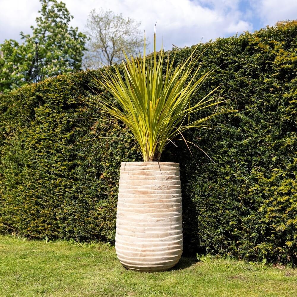 Primrose Tall Round Ribbed Terracotta Planter In Cream 80Cm from B&Q