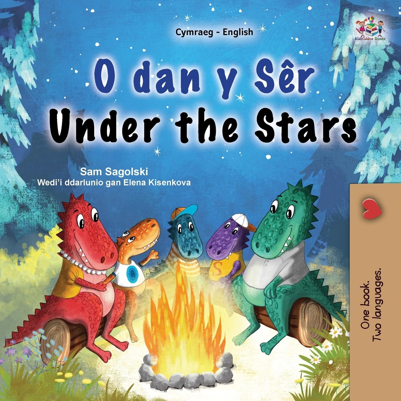 Under the Stars (Welsh English Bilingual Kids Book) (Welsh English Bilingual Collection)