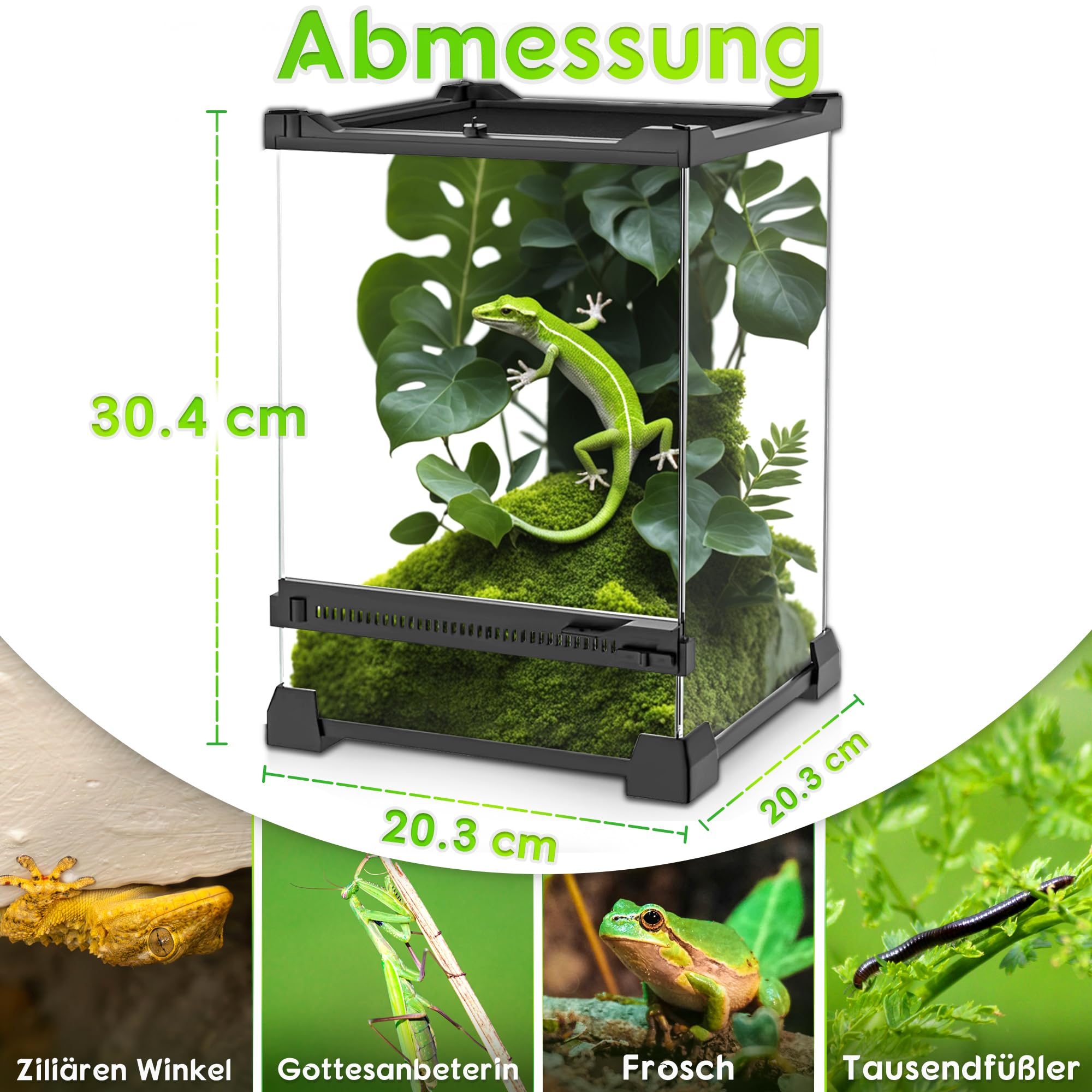 Mini-Reptilien-Glas-Terrarium, 20 x 20 x 30 cm, robuster Reptilien-Lebensraum mit hitzebeständigem Rahmen aus Aluminiumlegierung, Einzelschwingtüren, kein Stau durch Sand und Anderen