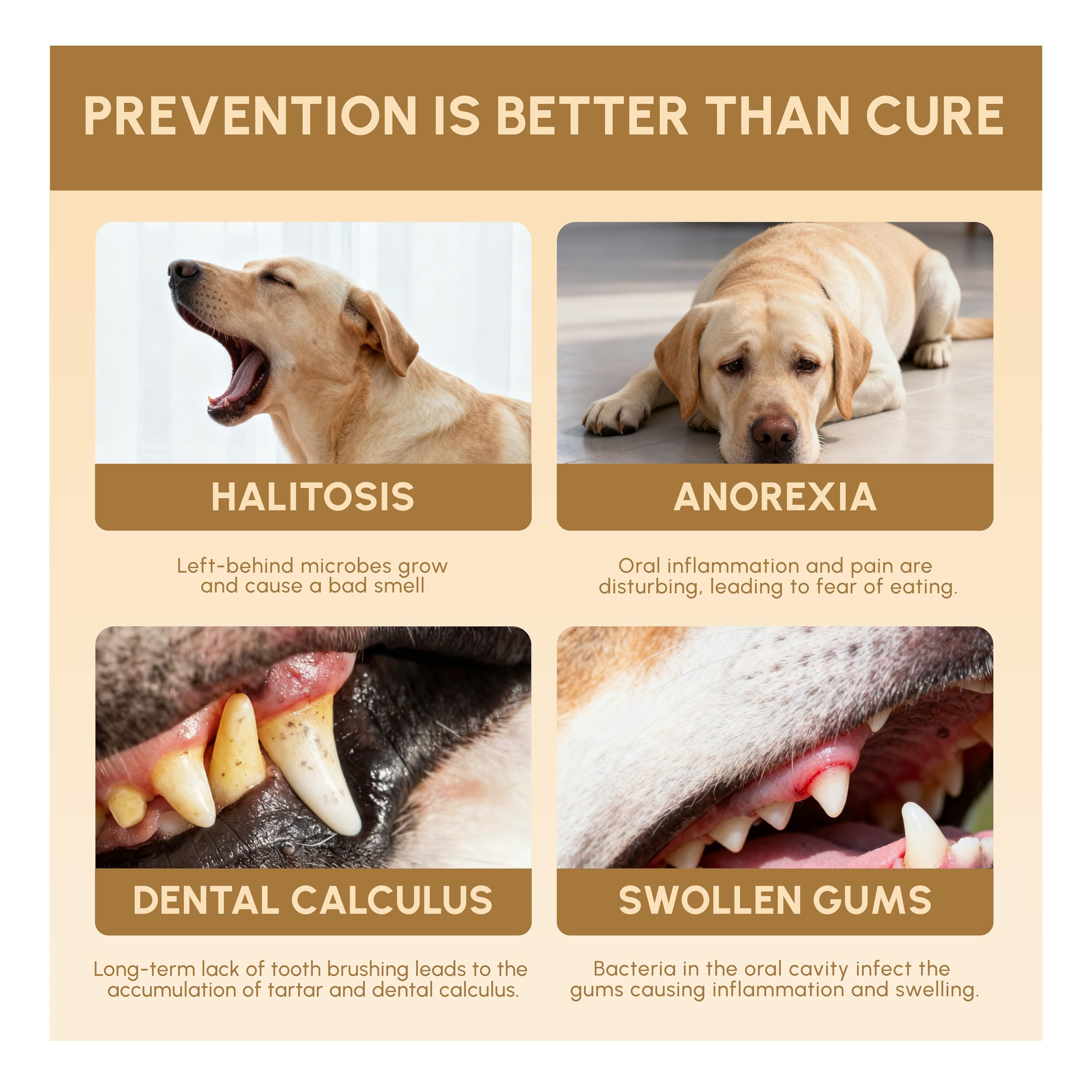 Advanced Probiotic Pet Dental Water Additive, Bio-Active Formula to Fight Oral Bacteria at The Source, Freshens Breath, Reduces Plaque & Tartar, Just Add to Water, Vet Recommended, 9.8 oz - image 4