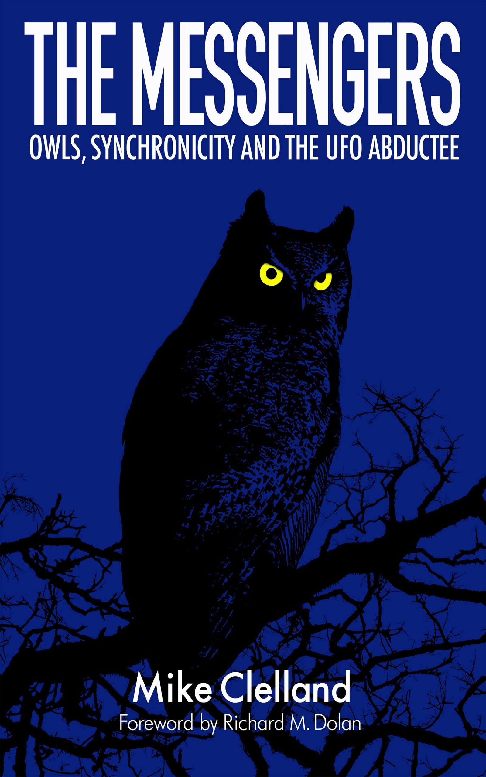 The Messengers: Owls, Synchronicity and the UFO Abductee