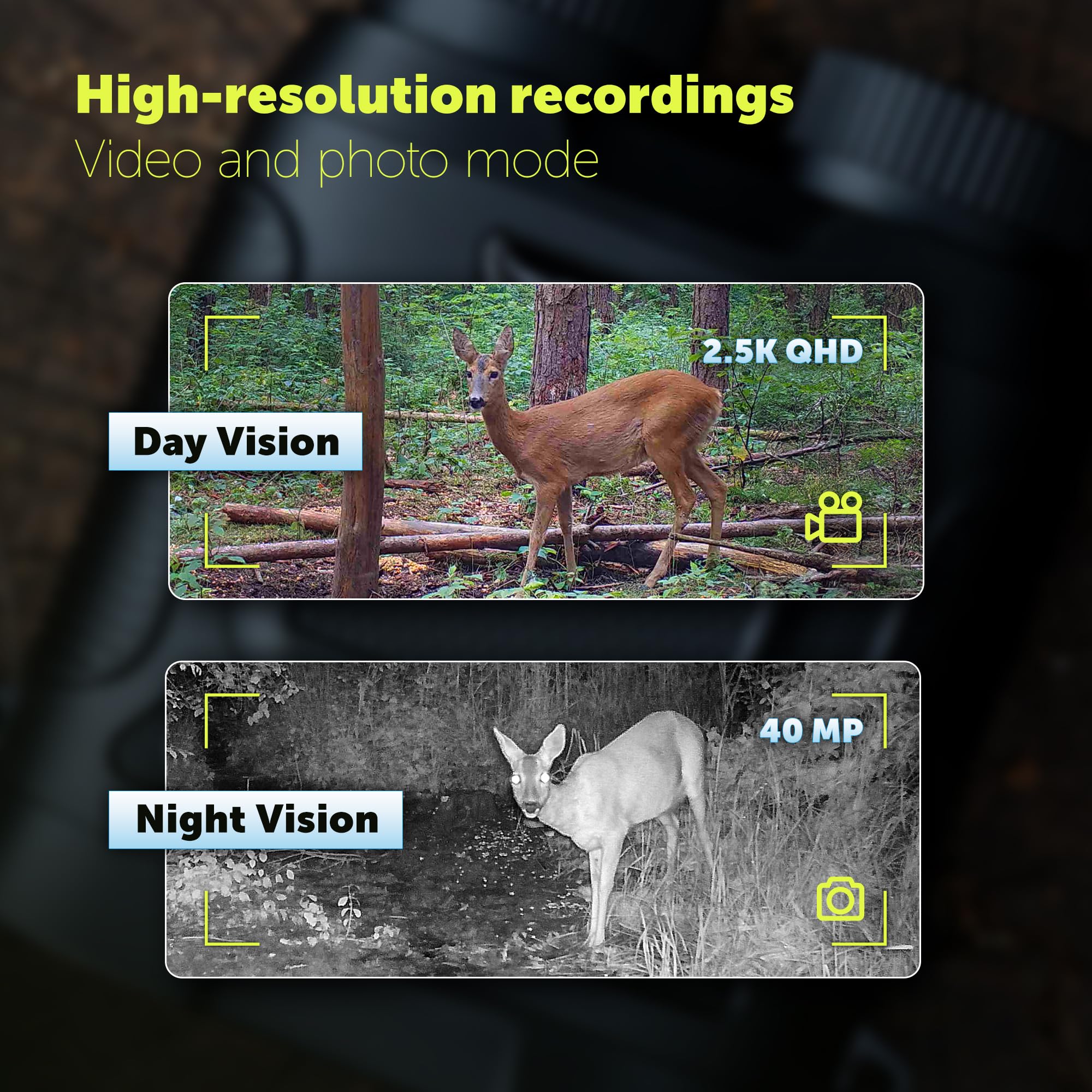 DÖRR Digitales Nachtsichtgerät IR-QHD, 300m, 40MP Fotos & 2.5K Videos