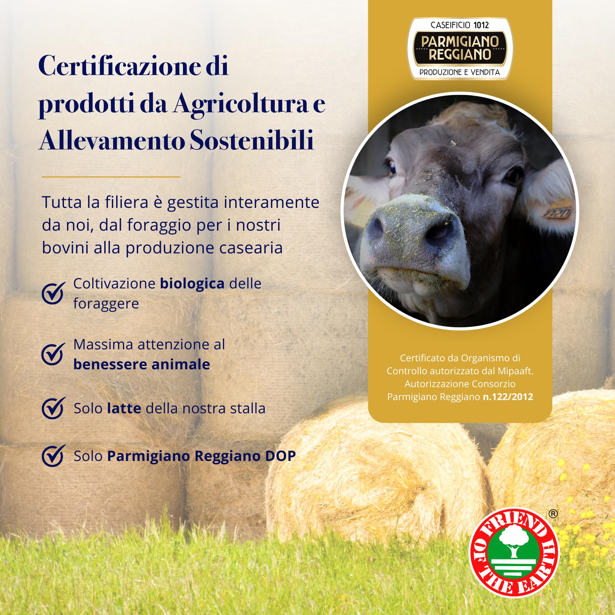 Parmigiano Reggiano Dop 36 mesi da Allevamento e Agricoltura Sostenibili - Premiata Produzione Artigianale dal 1949 - Formaggio Naturalmente Privo di Lattosio ANTICA LATTERIA DUCALE (1kg - 5pz)