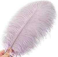 Vista 10 de 24 piezas de plumas de avestruz blanco natural de 10-12 pulgadas (25-30cm) para centros de mesa de bodas y fiestas, arreglos florales y decoración
