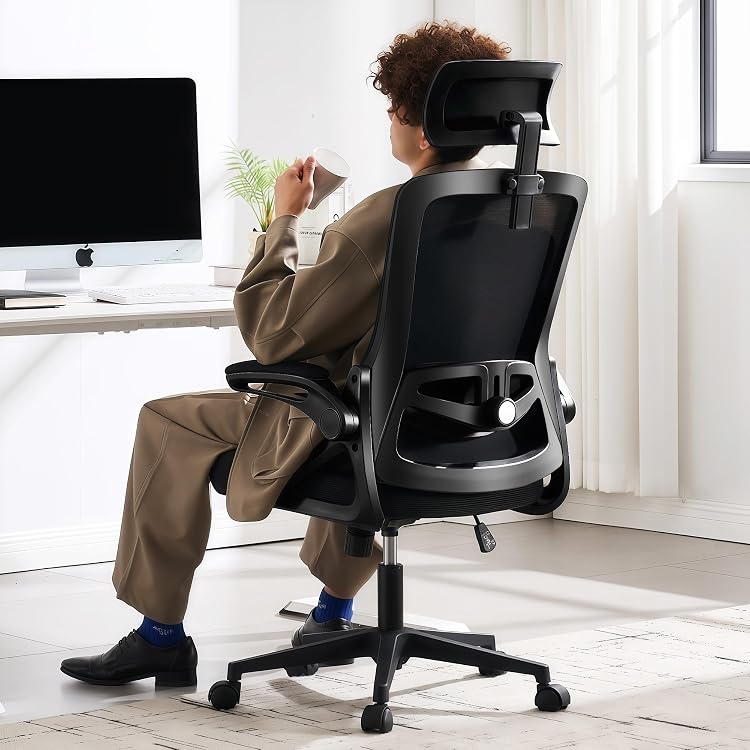 Fizzin Ergonomic Office Chair 400 lbs with Adjustable Lumbar Support Breathable Mesh