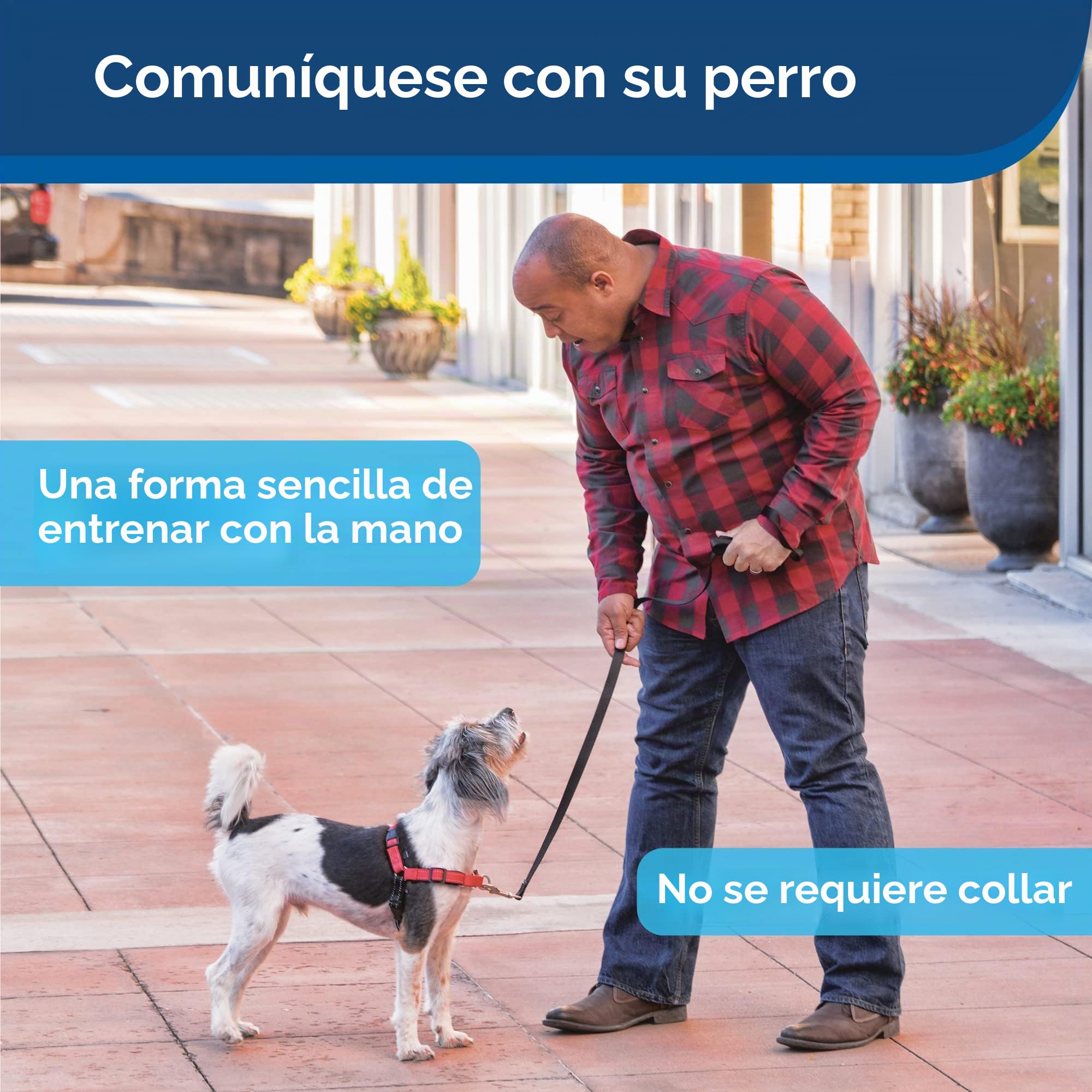 PetSafe Dispositivo de Entrenamiento por Ultrasonidos | Uso Interior y Exterior, Redirige la Atención del Perro