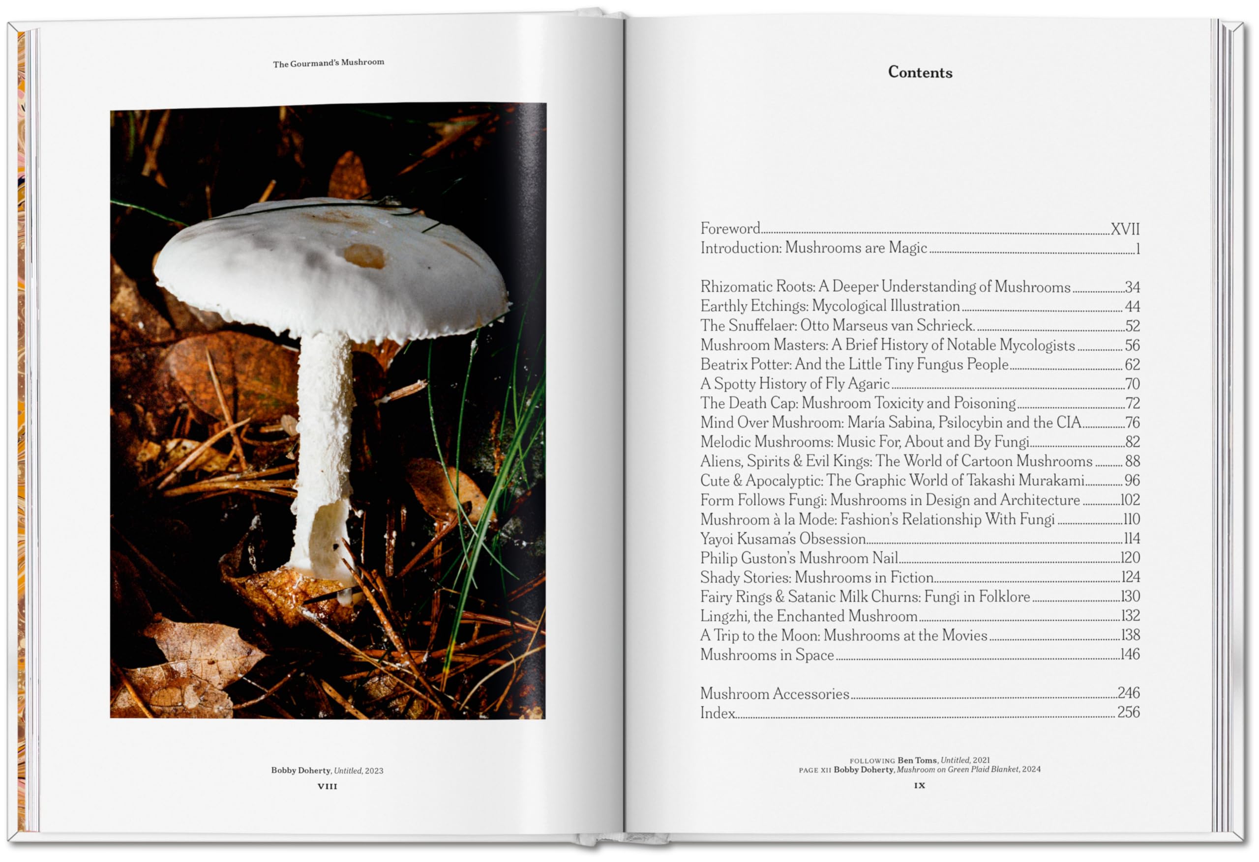 The Gourmand's Mushroom: A Collection of Stories and Recipes
