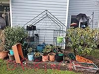 Review Image by Tammy Chance Tammy Chance