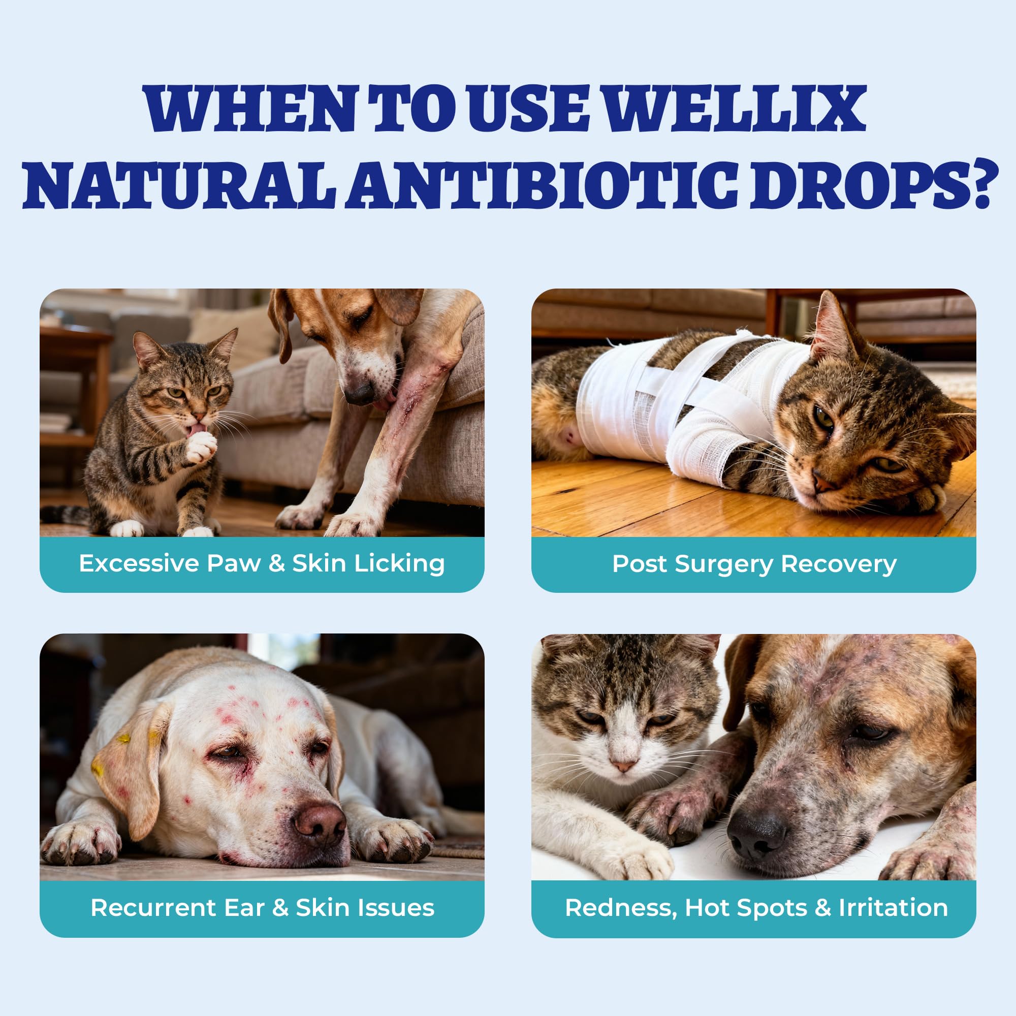 Wellix 120ml Natural Antibiotics for Cats & Dogs, Wound Care & Cold Relief — Amazon image 4