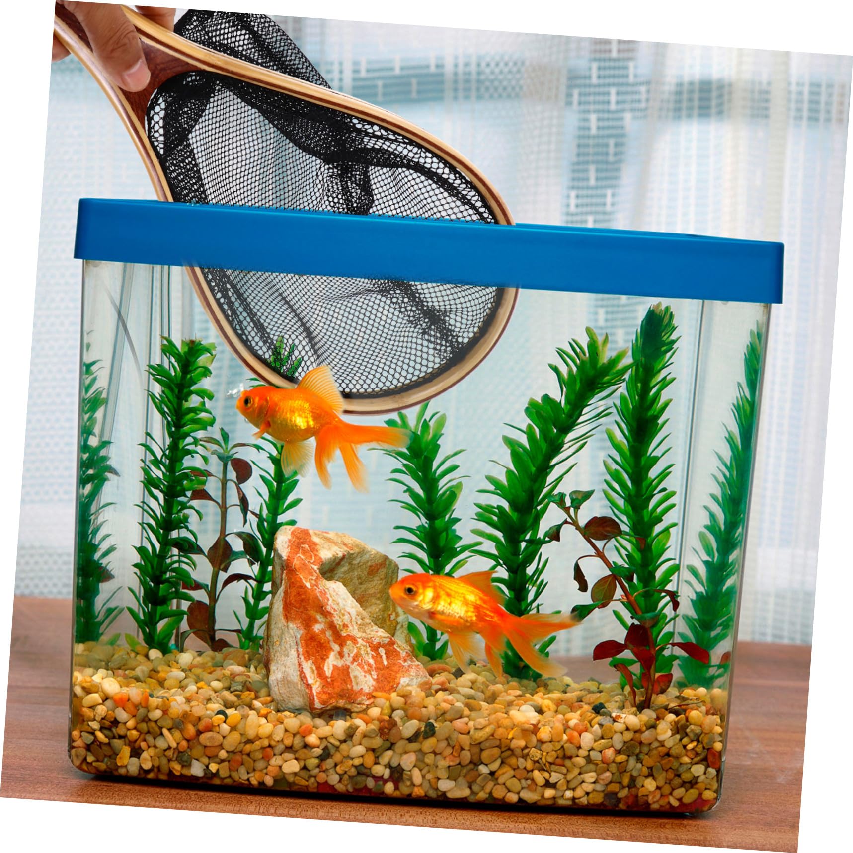 Toyvian Fliegenbindestock Kescher mit Bambusgriff und Faltbarem Schwarzem Netz Leichtes Fischernetz für Aquarium und Fischerei Zubehör mit Starker Praktikabilität
