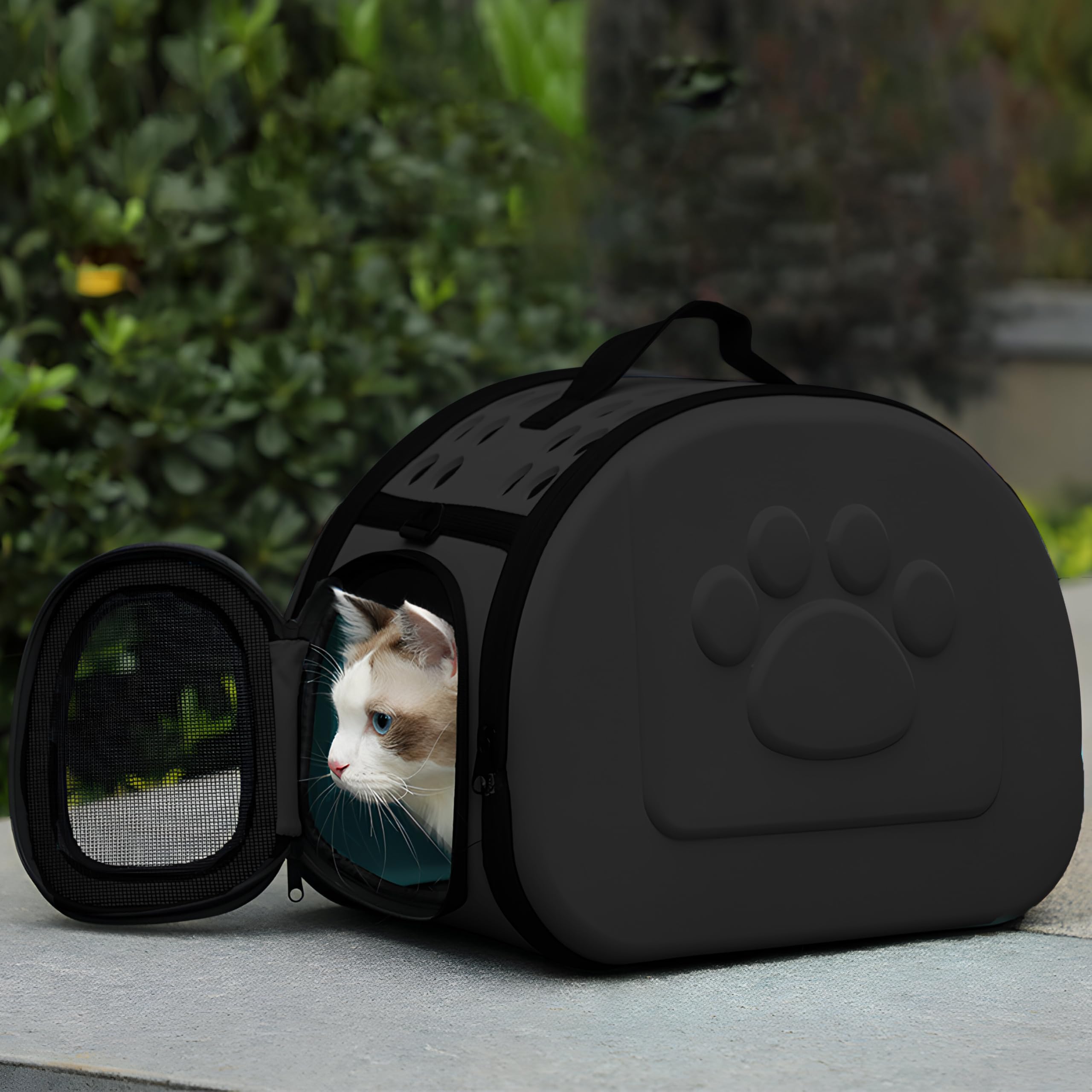 Retoo Sac de Transport, Cage de Transport pour Chat et Chien 43 x 32 x 27 cm - Sac de Transport Pliable pour Petits Chiens - Cage de Transport pour Chatons, Chiots et Lapins - Noir