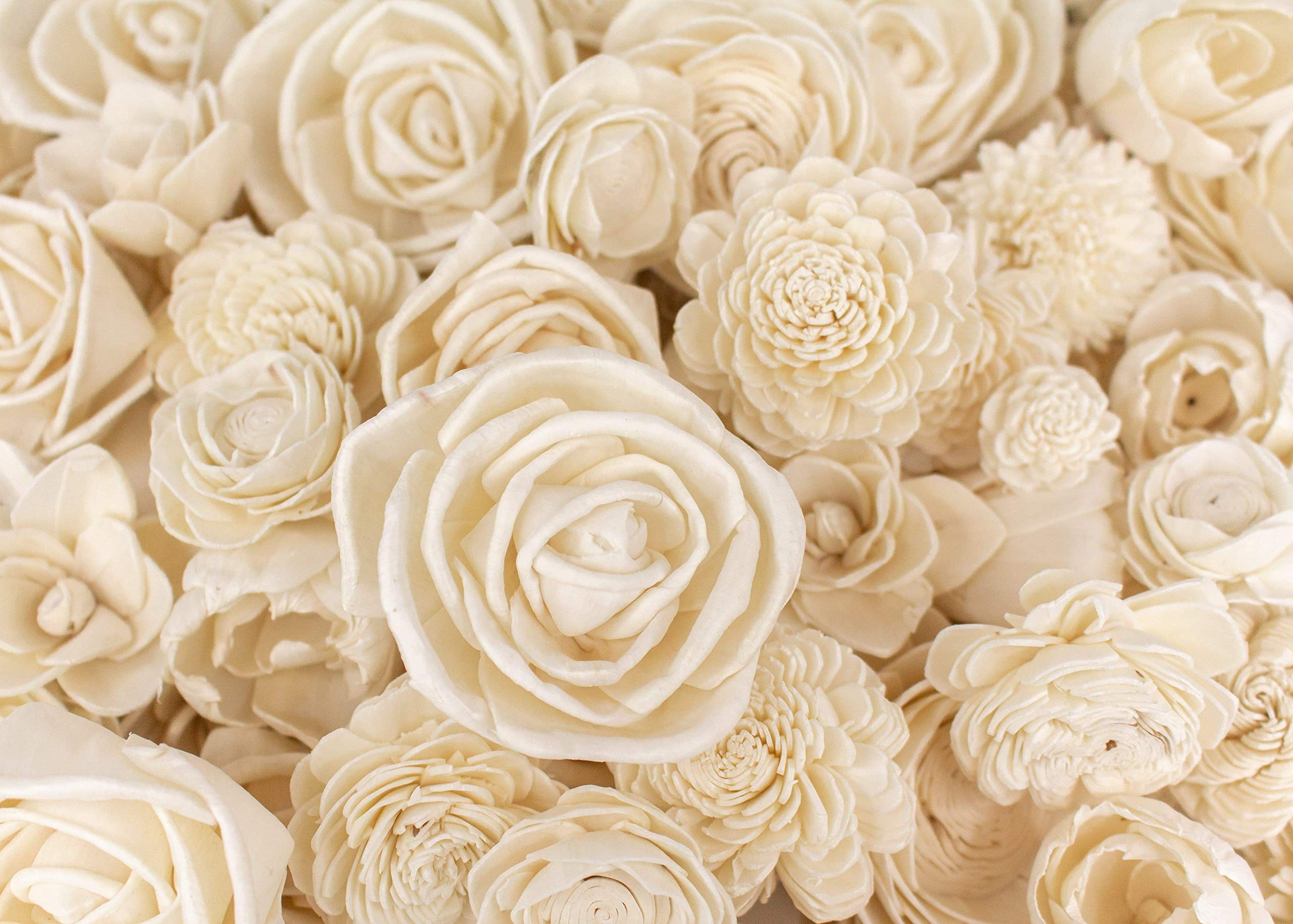 Sola Wood Flowers 1000 Pieces (Without Bark) - Artificial Flowers