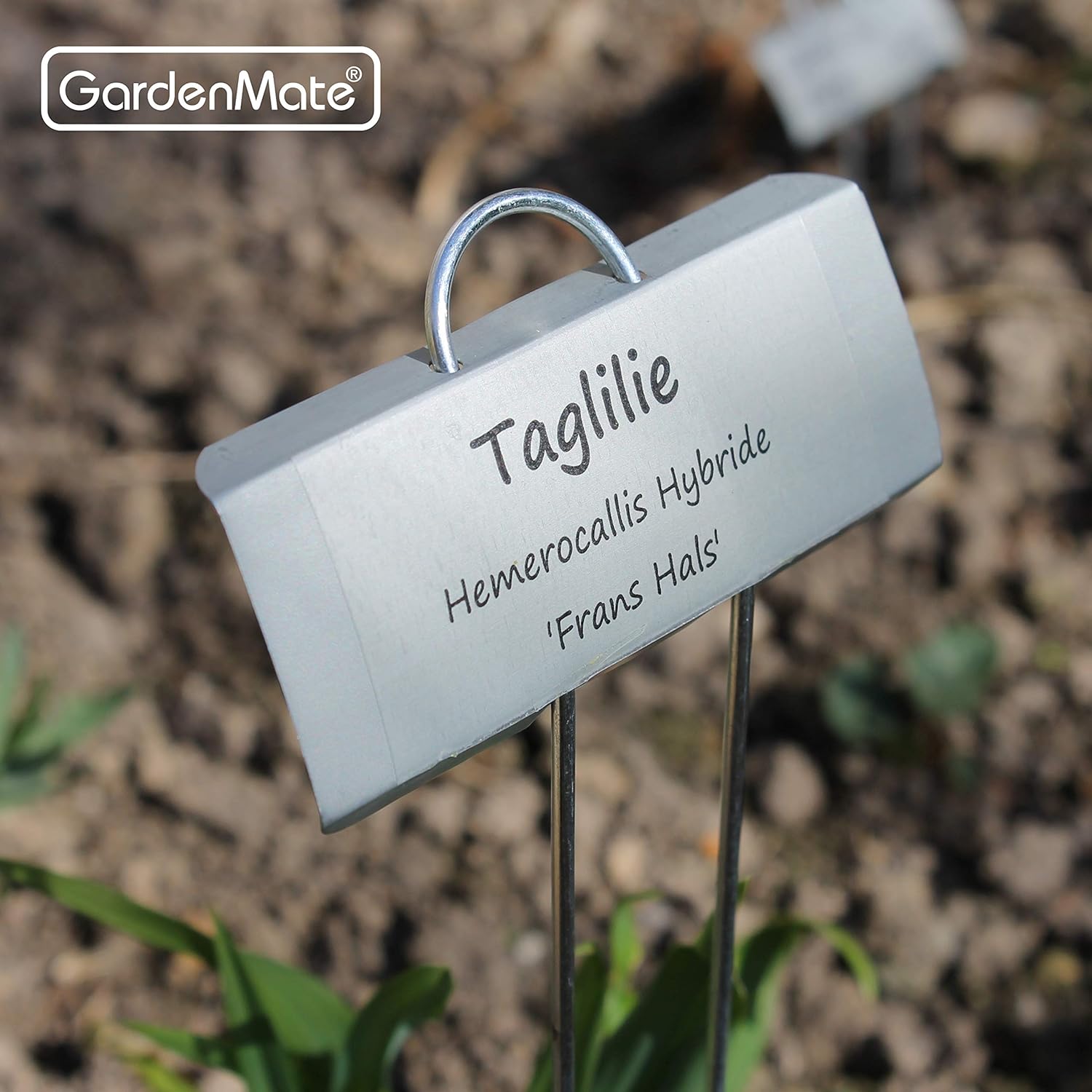 Weatherproof Large Zinc Metal Plant Labels, 50-Pack