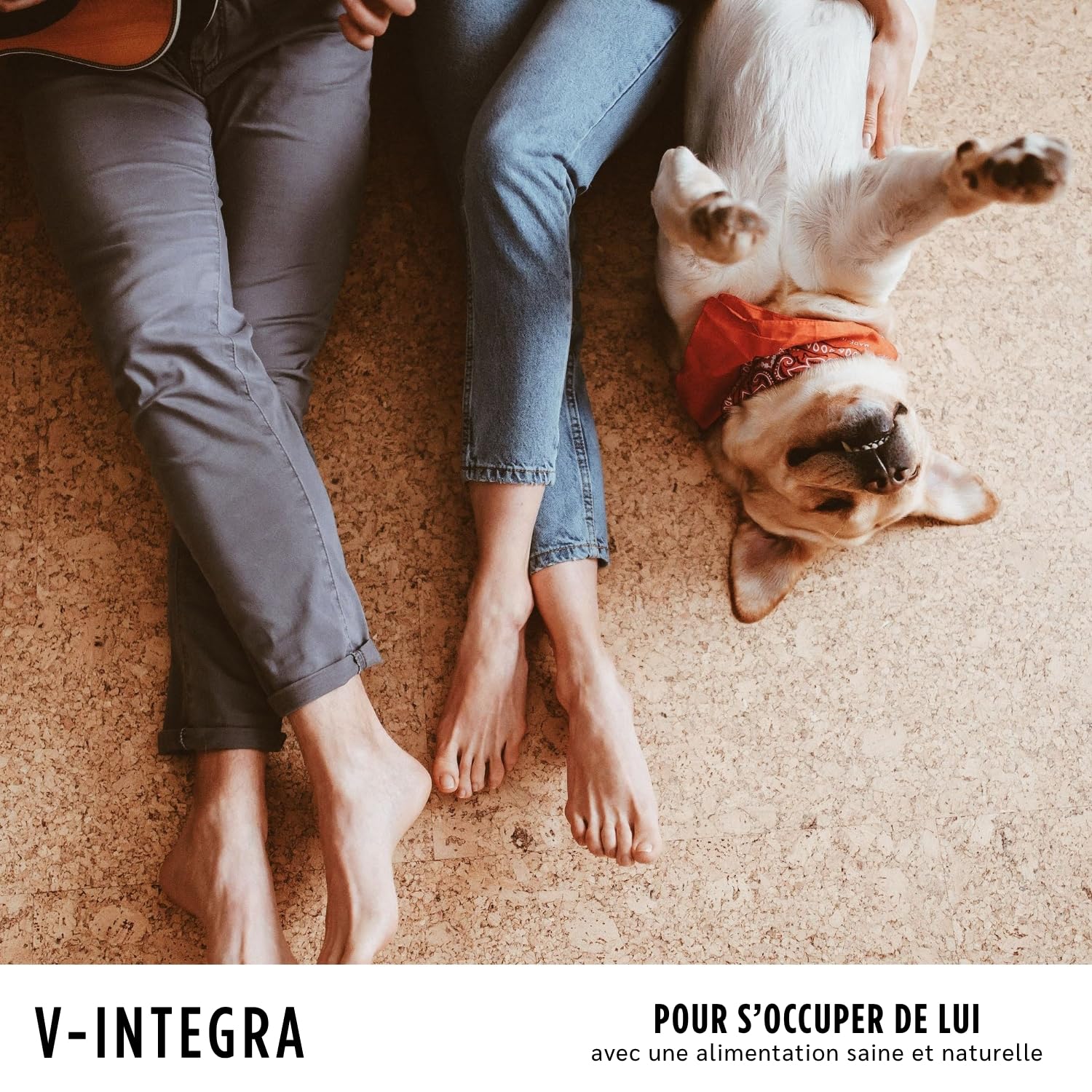 V-INTEGRA Epato Chiens et Chats - Supplément Complet de vitamines et minéraux pour la Ration ménagère des Chiens et Chats nécessitant Une Restriction en cuivre - 200g - Produit en Italie
