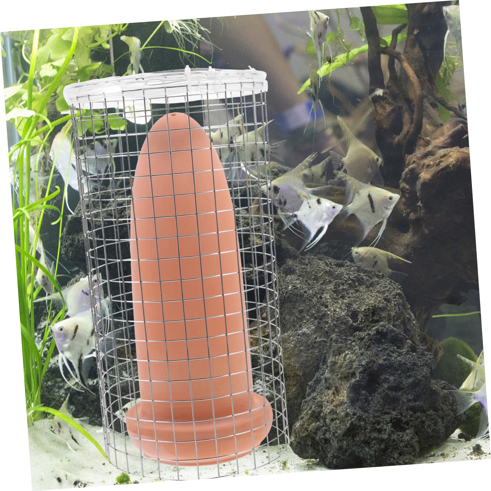 Mipcase Cubo de Desove de Arcilla para Pecera, 1 Pieza, Seguro