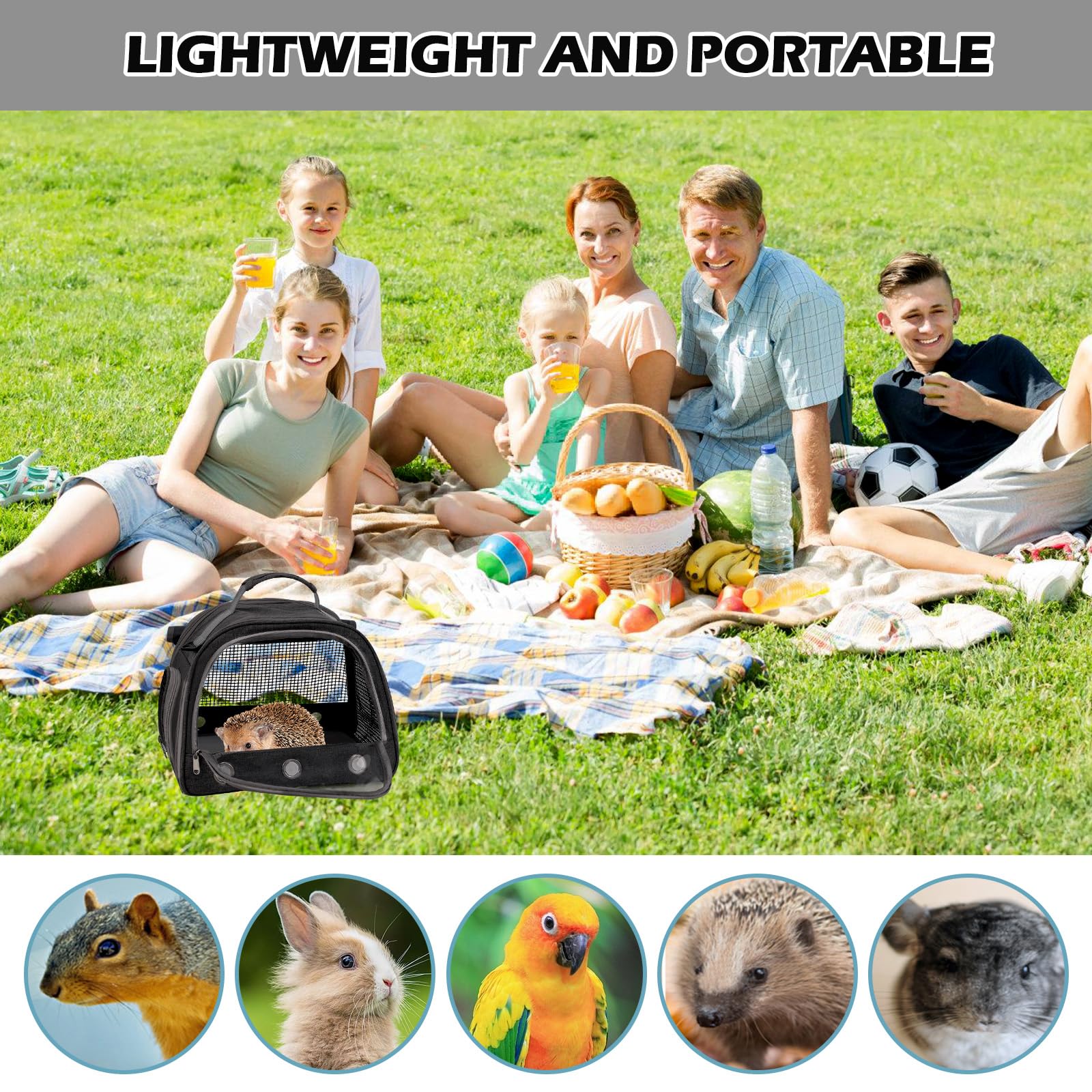 Sac de transport pour cochon d'Inde, boîte de transport pour lapin, petit sac de transport pour animal de compagnie, sac de voyage pour cochon d'Inde, pliable et respirant, boîte de transport pour