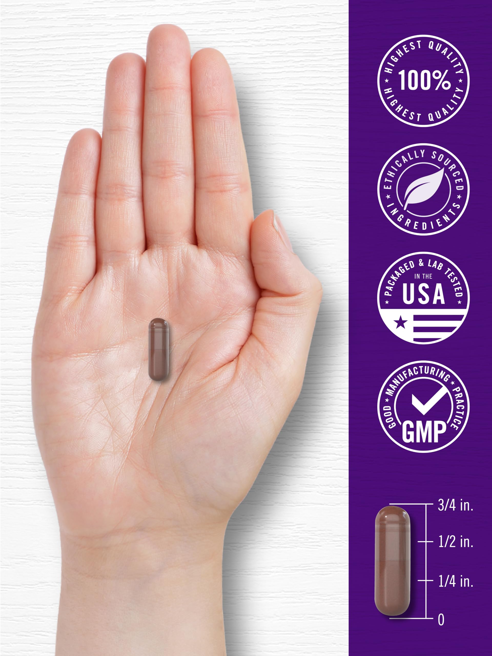 Carlyle Grape Seed Extract | 120 Quick Release Capsules — Amazon image 7