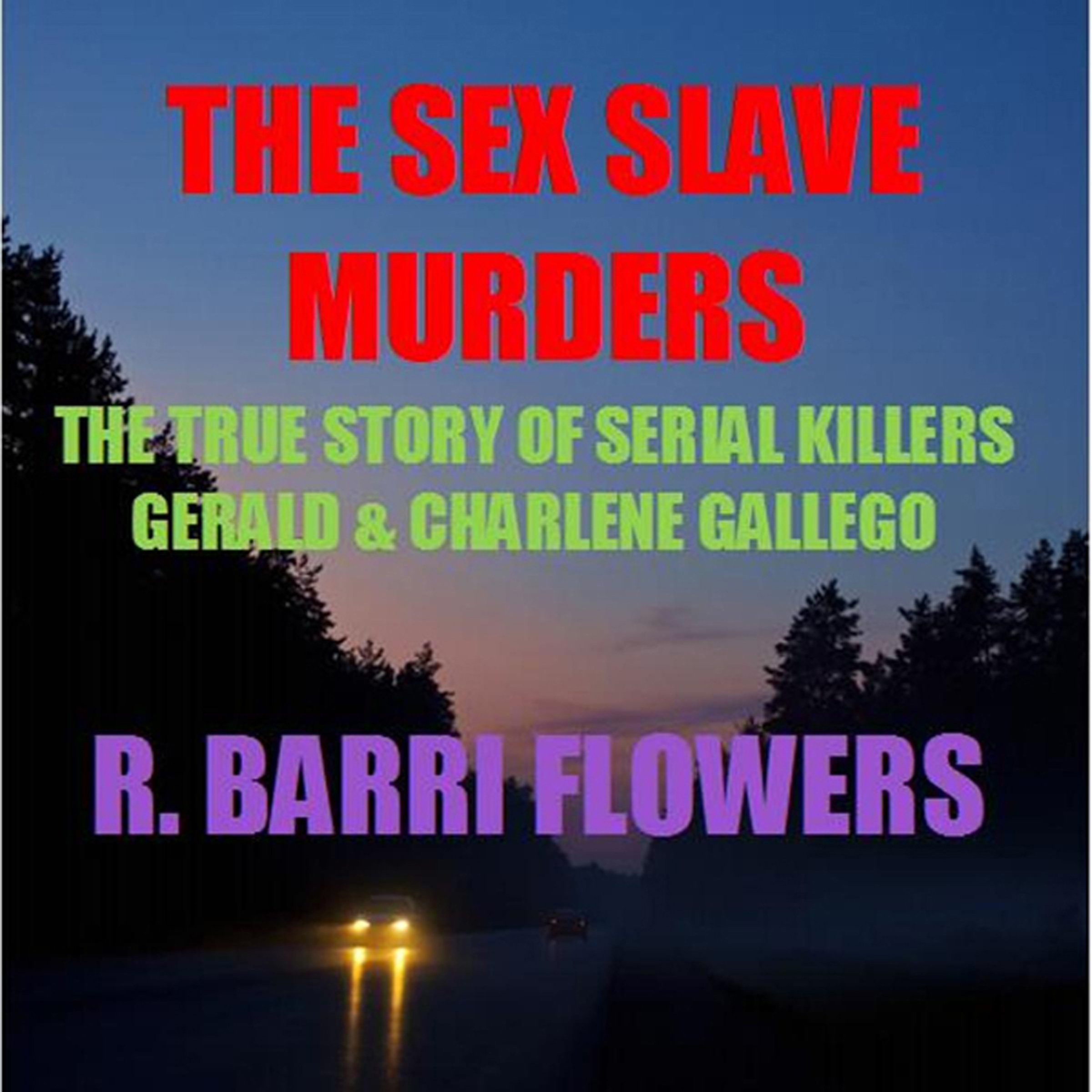 Cover art for The Sex Slave Murders