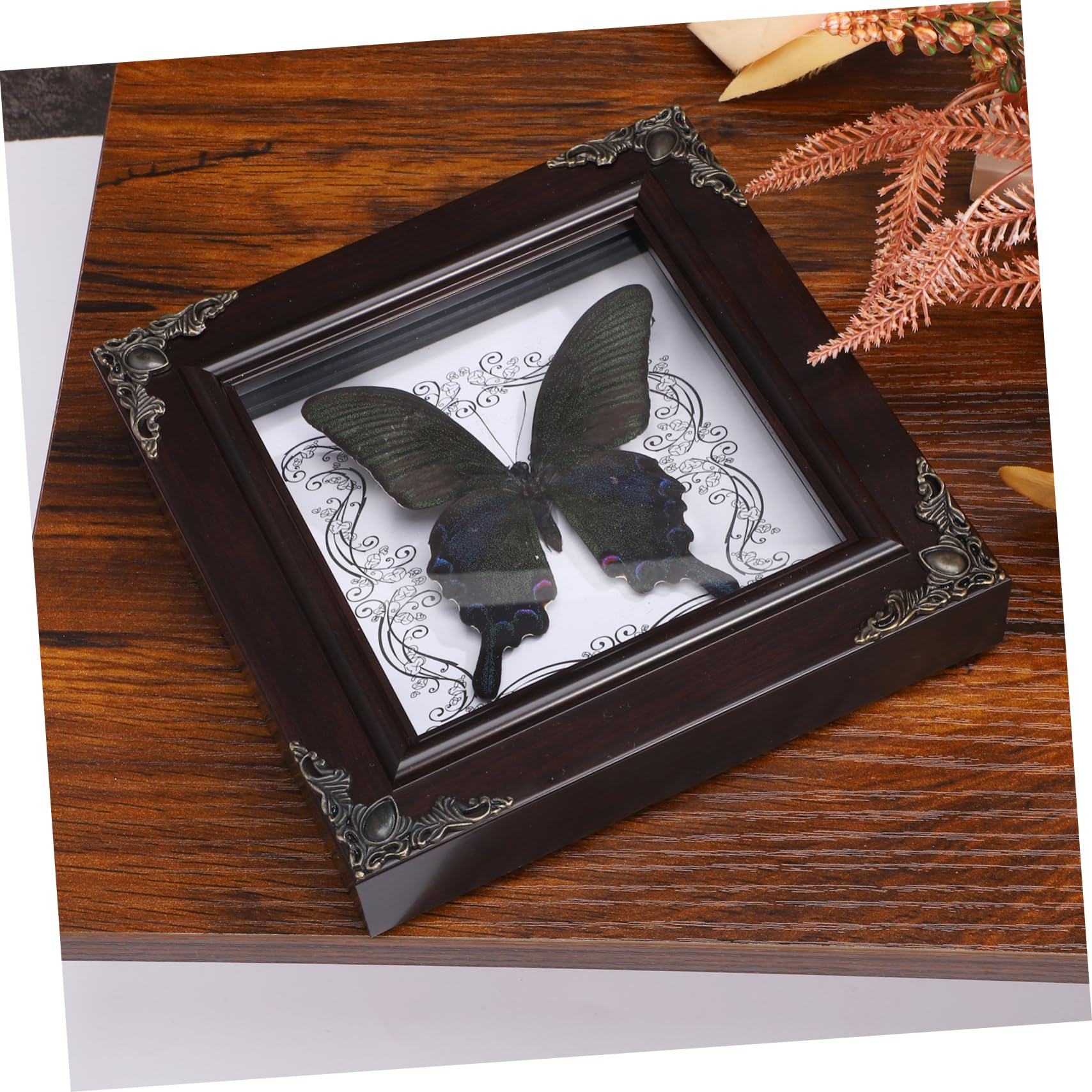 蝶の標本 フレーム入り 多数 Amazon.co.jp: PRETYZOOM 蝶の標本フォトフレーム 蝶の額縁 蝶の