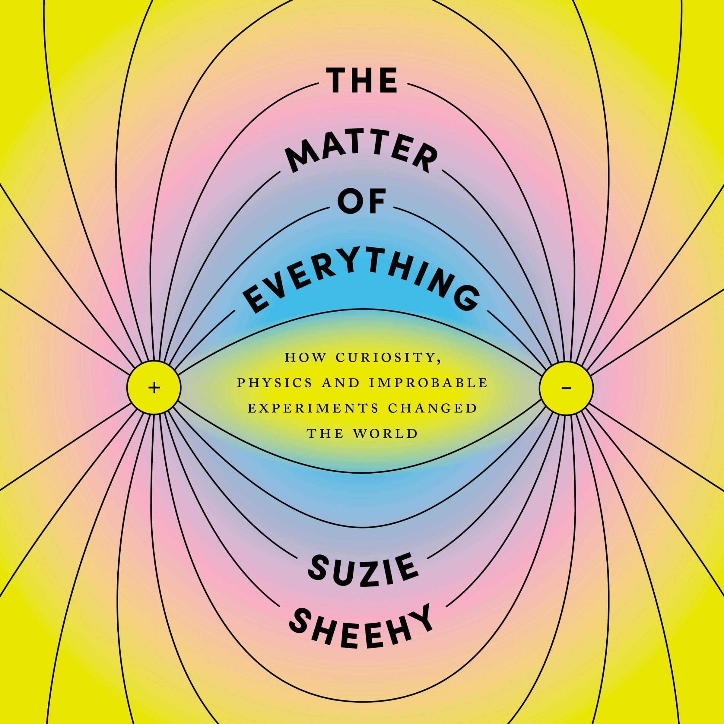 Cover art for The Matter of Everything