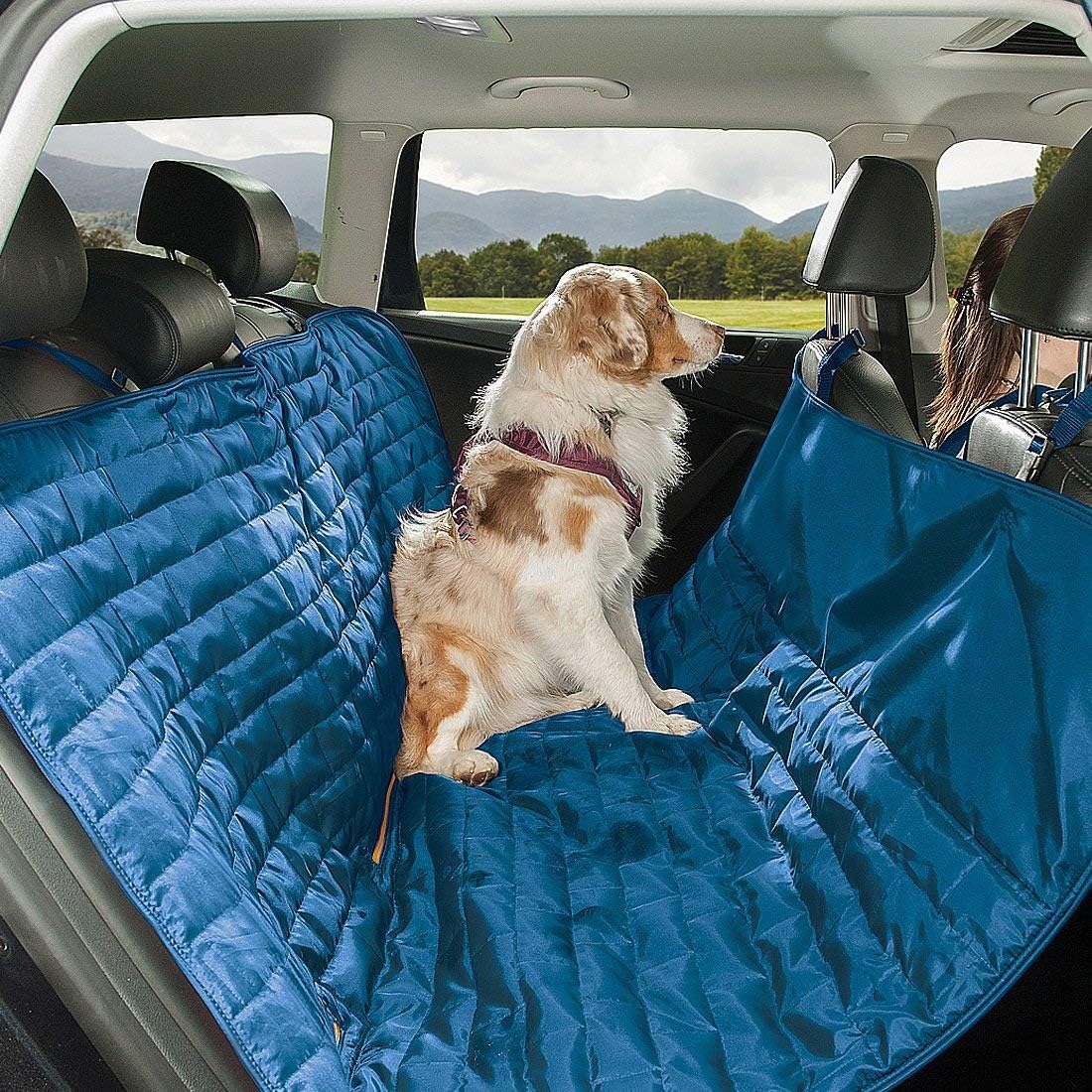 Kurgo Loft Hammock Car Seat Cover for Dogs - SUV Dog Seat Hammock - Waterproof Ripstop Fabric Seat - Reversible Comfort Fit Seat Cover - Easy to Clean - Machine Washable - Coastal Blue/Orange image 3