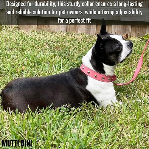 Miniatura 5 de Mutti Bini Collar de perro de cuero genuino, collar de perro con tachuelas para perros grandes, medianos y pequeños, resistente con accesorios de