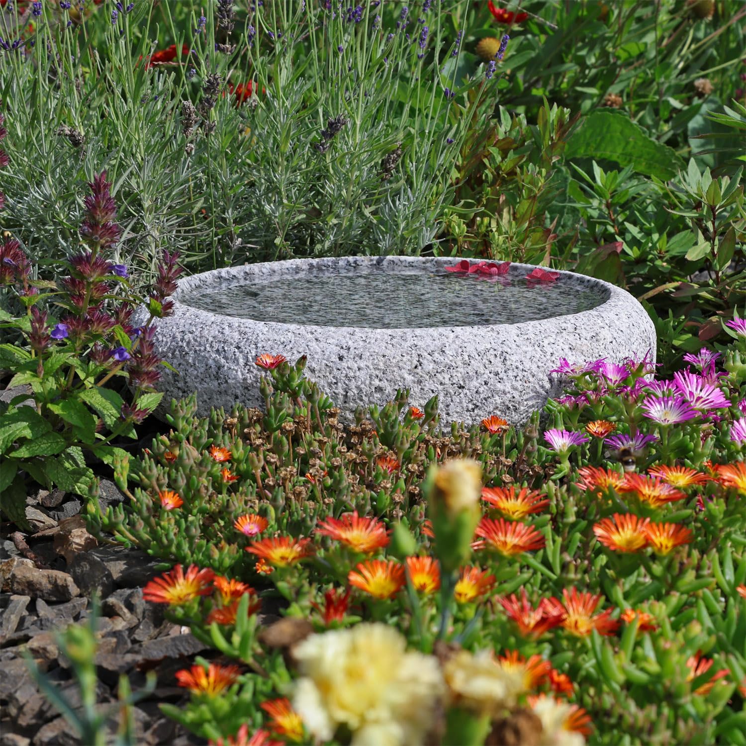 CLGarden Granit Vogelbad Ø 35cm rund Vogeltränke Naturstein Garten Boden Tränke frostsicher Stein