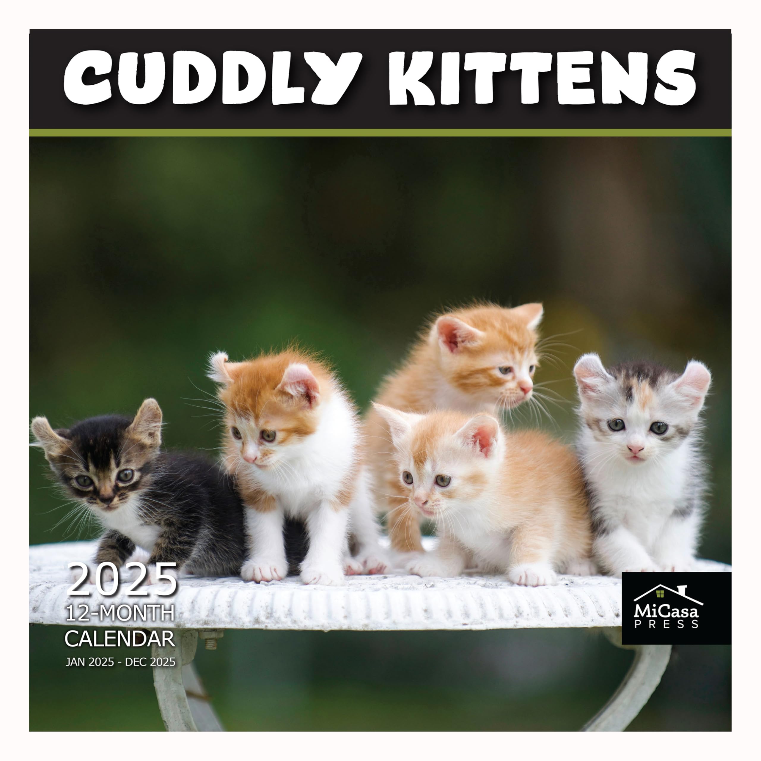 MICASA Cuddly Kittens 2025 Wall Calendar 12 Month | 12" x 24" Open | Thick & Sturdy Paper | Giftable | Calendar 2025