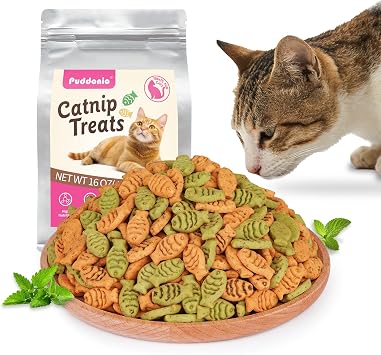Catnip Cat Treats, Chicken & Salmon Flavor, Crunchy Bites, 16 oz