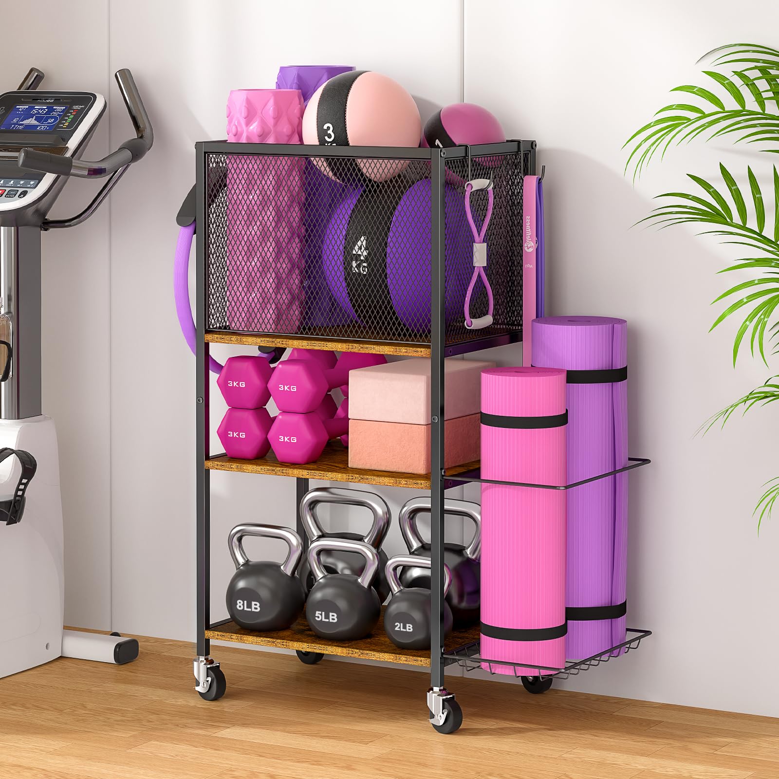 3IngSeagulls Dumbbell Rack