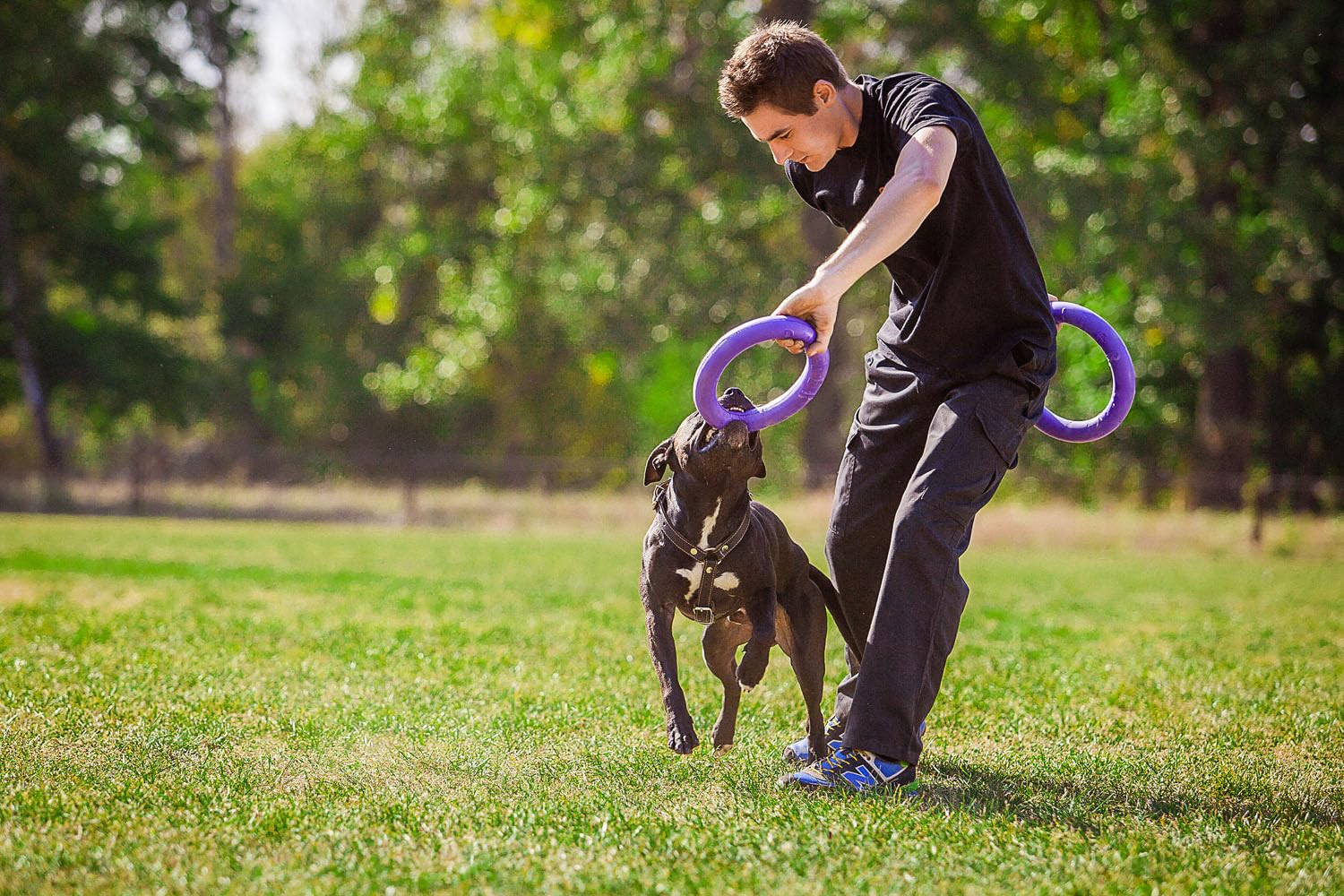 Puller Standard 2 Piezas 28 x 4 cm Anillos de Juegos Juguete Interactivo para Perros Juguetes de Agua Gimnasio para Perros Juguete Lanzador