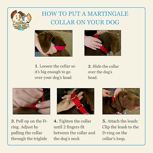 Miniatura 5 de Country Brook Petz - Vibrante selección de 15 colores collar de nailon resistente Martingala de 1 12 pulgada