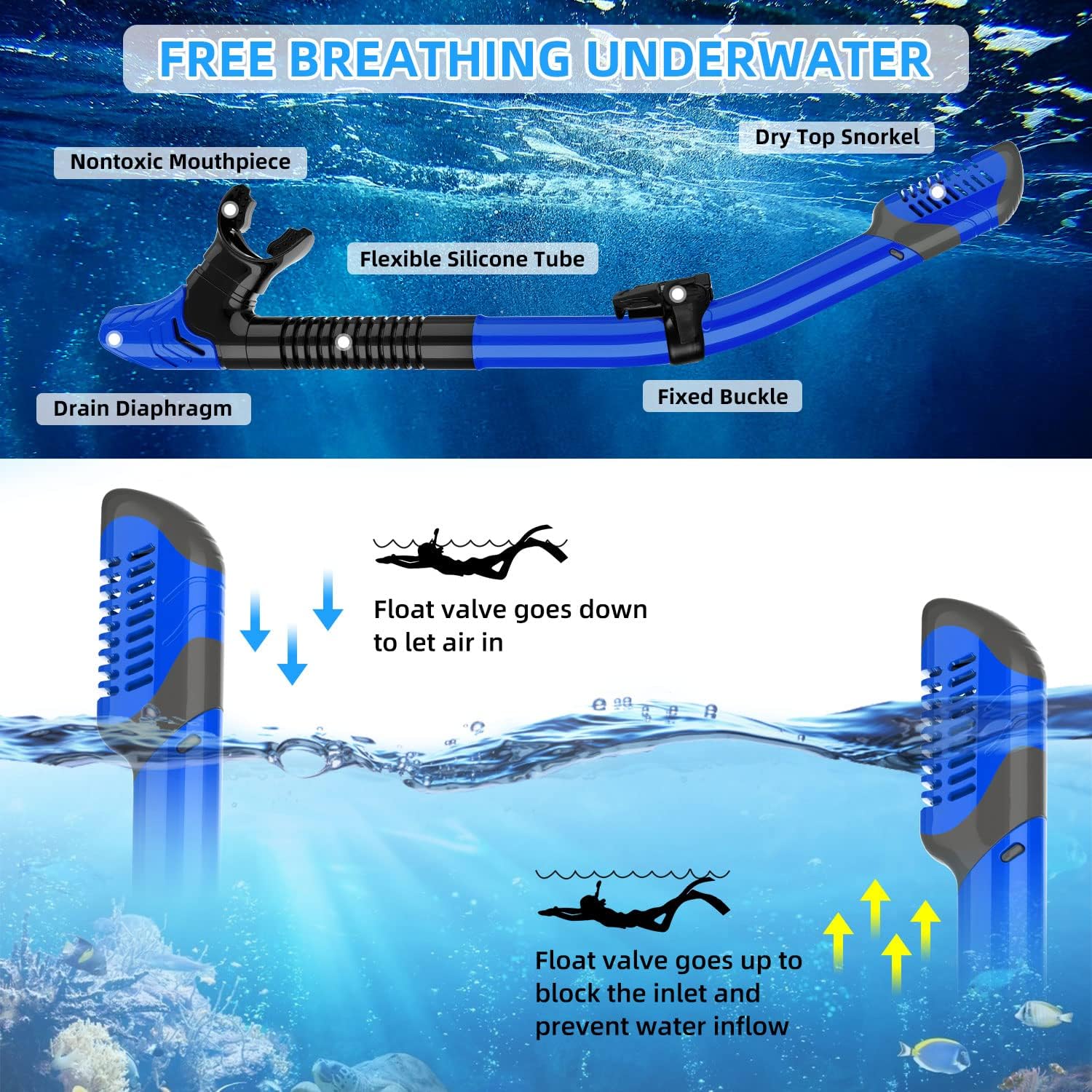 Zenoplige Mask Fins Snorkel Set Adults Men Women, Swim Goggles 180 Panoramic View Anti-Fog Anti-Leak Dry Top Snorkel and Dive Flippers Kit with Gear Bag for Snorkeling Swimming Scuba Diving Training : Sports & Outdoors