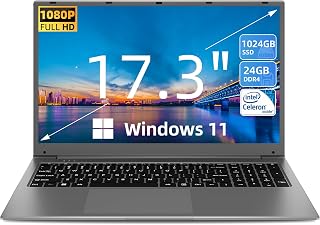 SGIN 17.3 Inch Laptop Windows 11 24GB RAM 1024GB SSD Storage, Celeron N5095A Processor(Up to 2.9GHz), 5000mAh Battery PC Notebook with 1920 * 1080 IPS, 2xUSB 3.0, Dual Band WiFi (Grey)