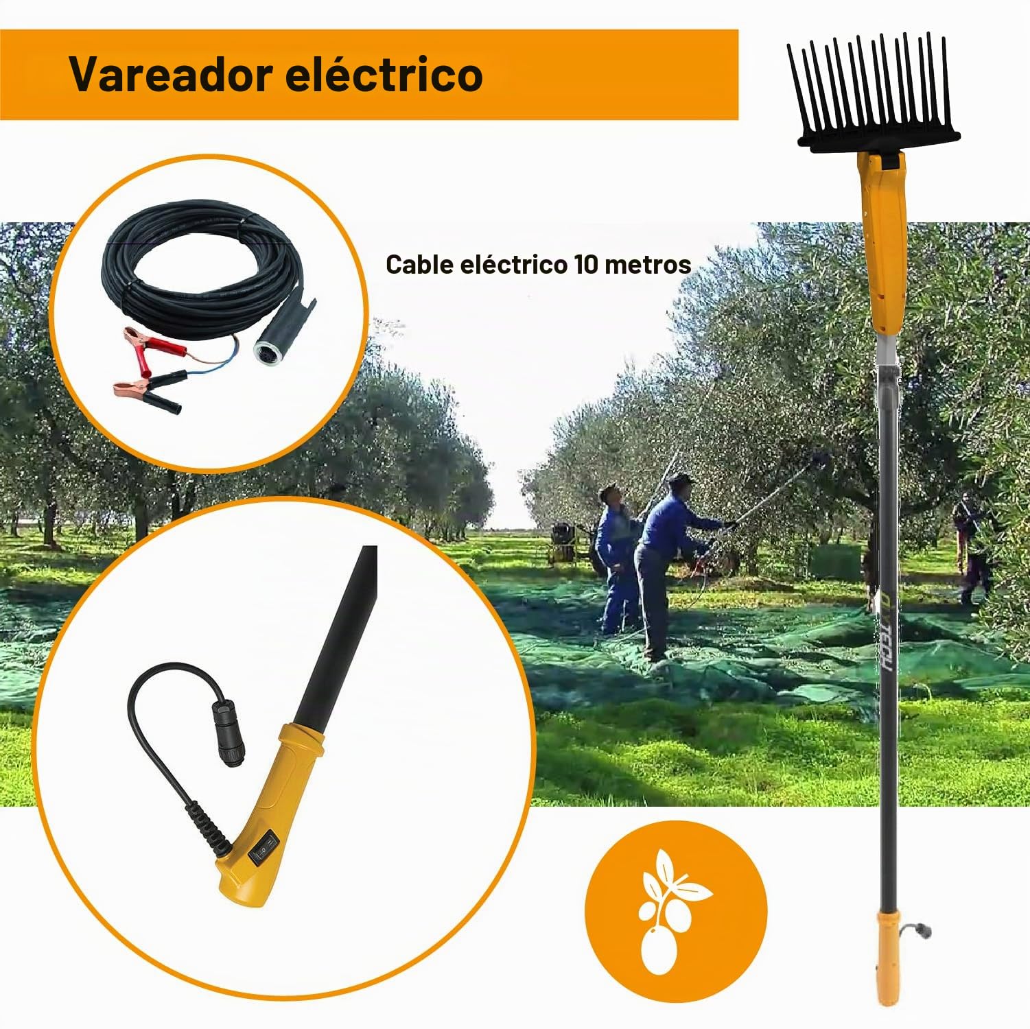 Crisalide® - Olytech Dualcomb 13 - Vareador recogedor de aceitunas con batería - Negro