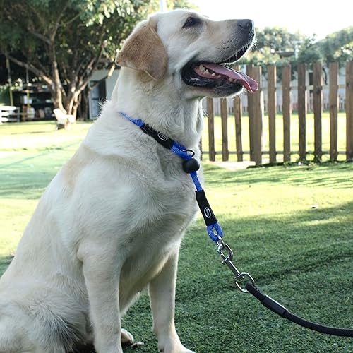 Miniatura 6 de Hiado Collar de cuerda de entrenamiento para perros, collar martingala redondo sin tirones, collar deslizante con tapón para perros pequeños,