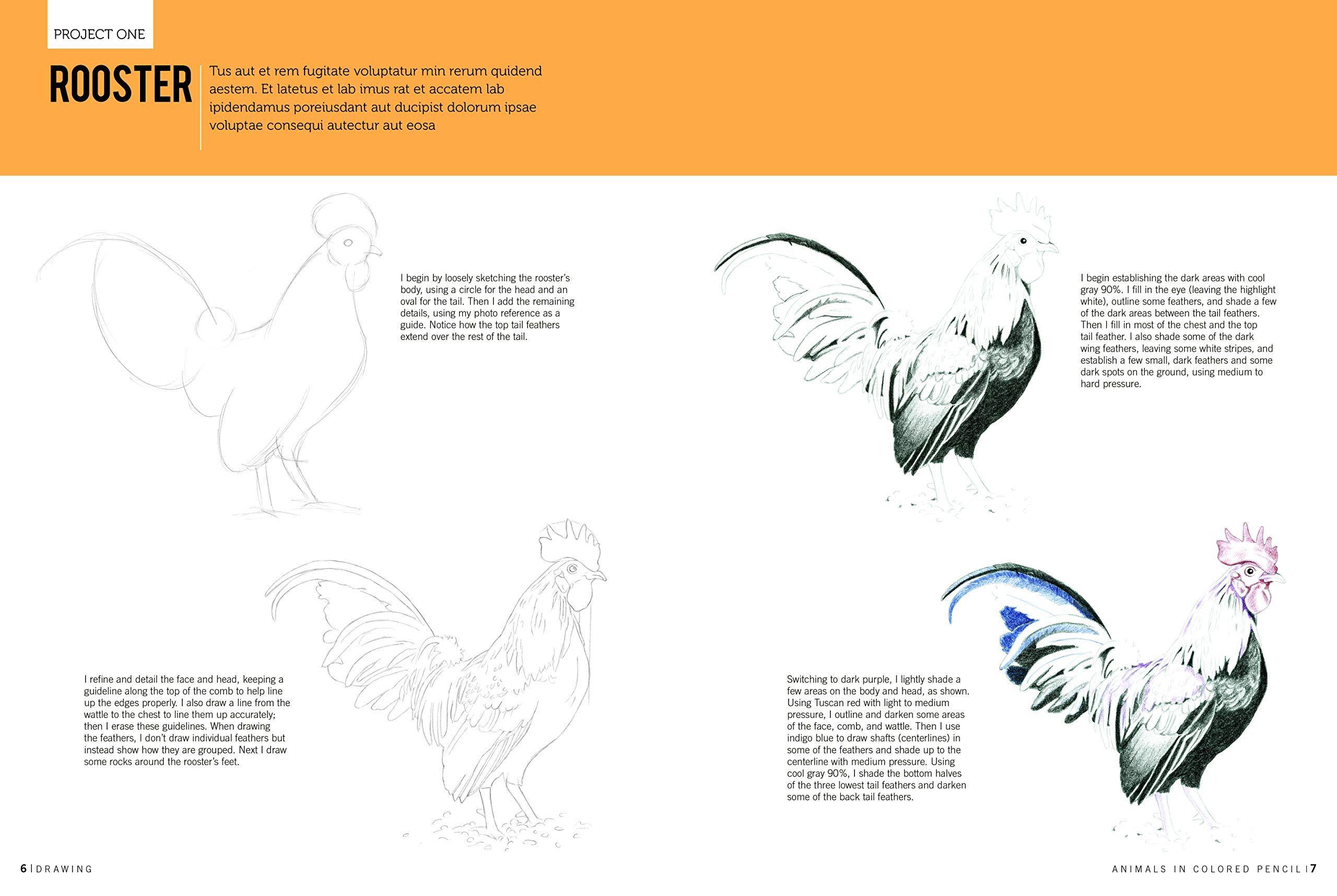 Drawing: Animals in Colored Pencil: Learn to Draw with Colored Pencil Step by Step