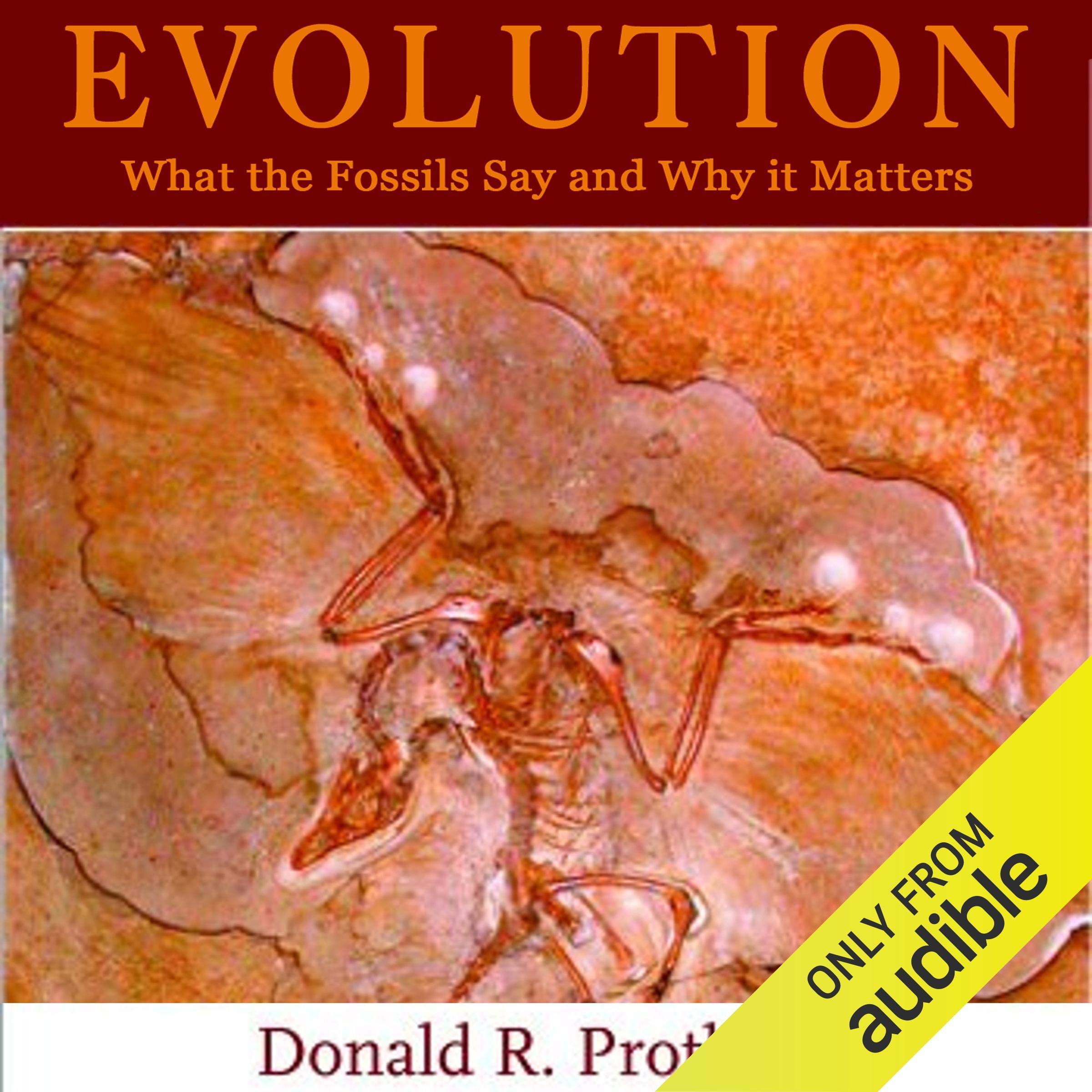 Cover art for Evolution