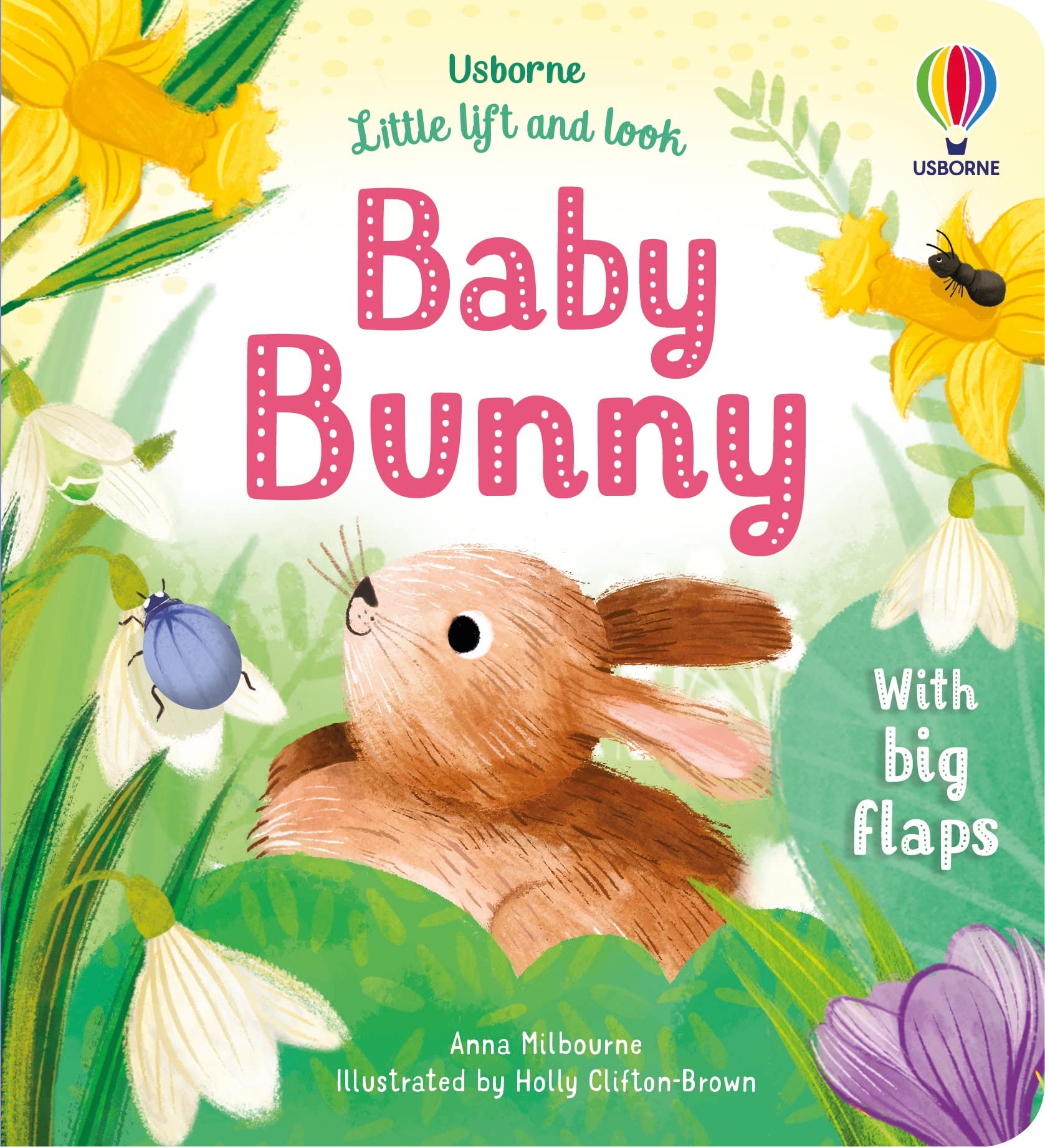 Little Lift and Look Baby Bunny by Anna Milbourne BOARD BOOK 9781803701653