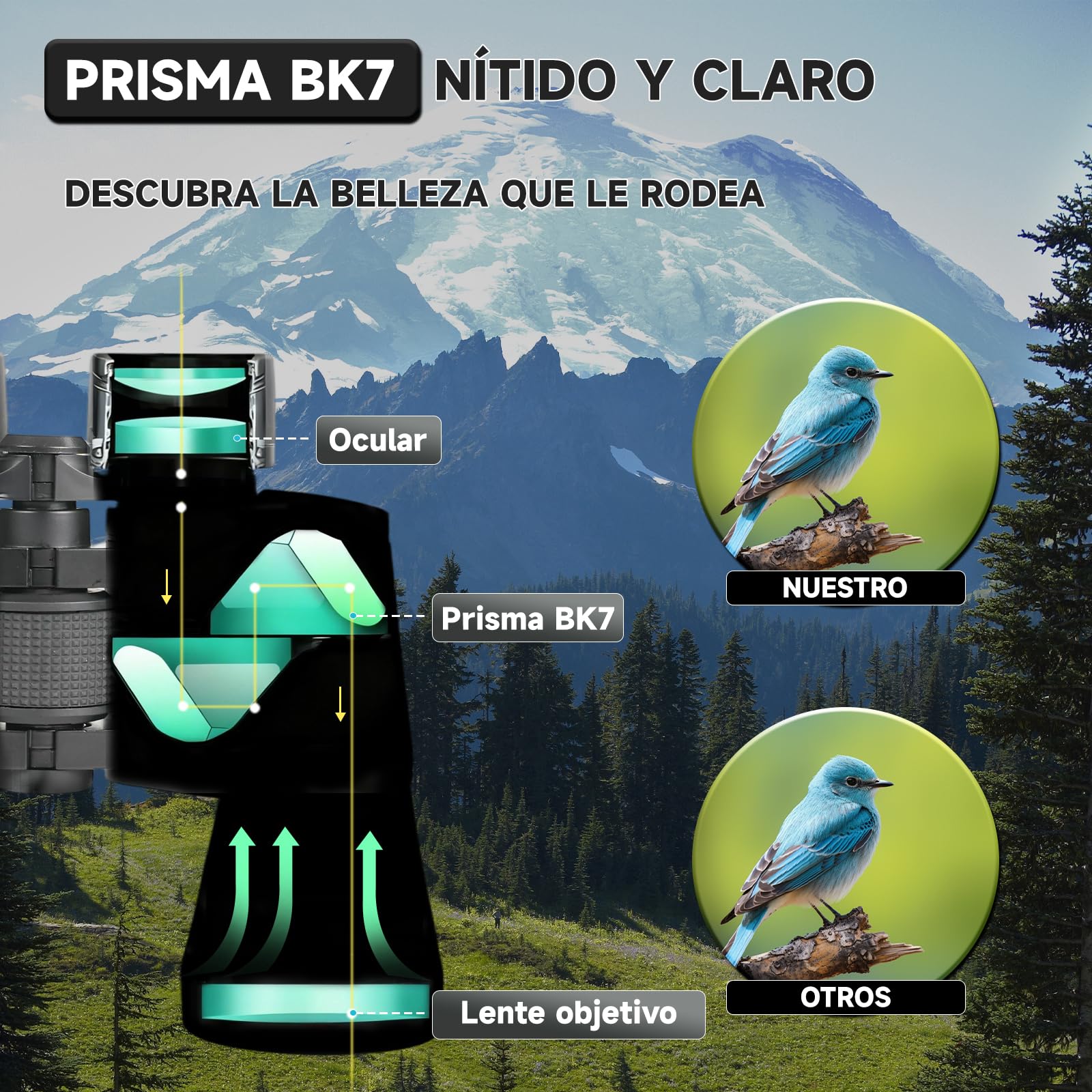 Prismáticos 10x50 Profesionales HD para Observación Aves | Binoculares Adultos Potente,Prismaticos Vision Nocturna HD Portátiles impermeables para Fútbol, Conciertos,Senderismo